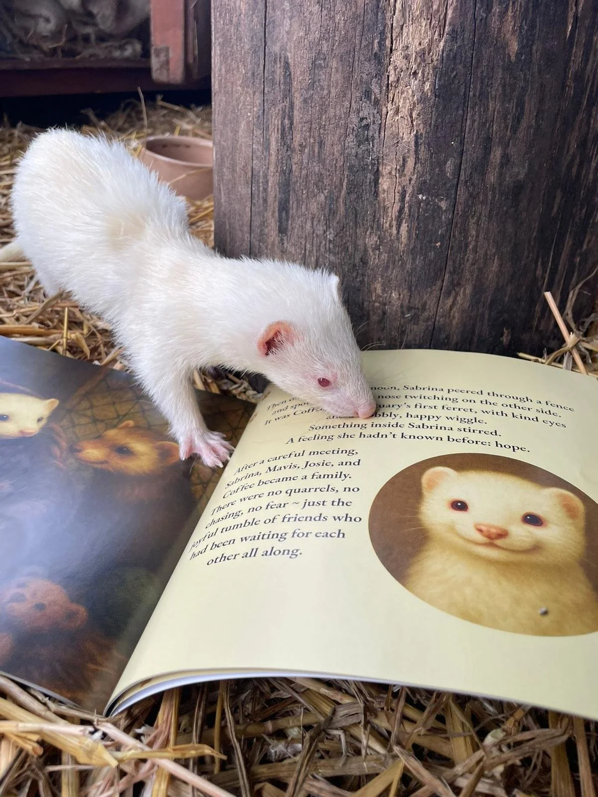 WhatsApp Image 2026-01-19 at 18.48.15.jpeg