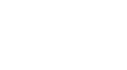 Google Partner