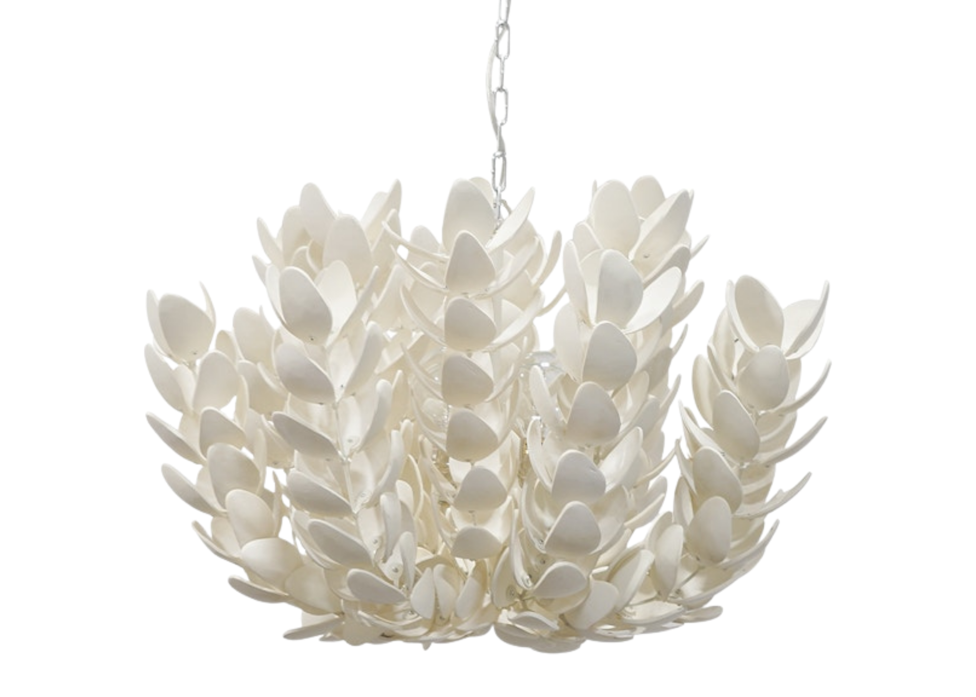 Untitled design (50).png