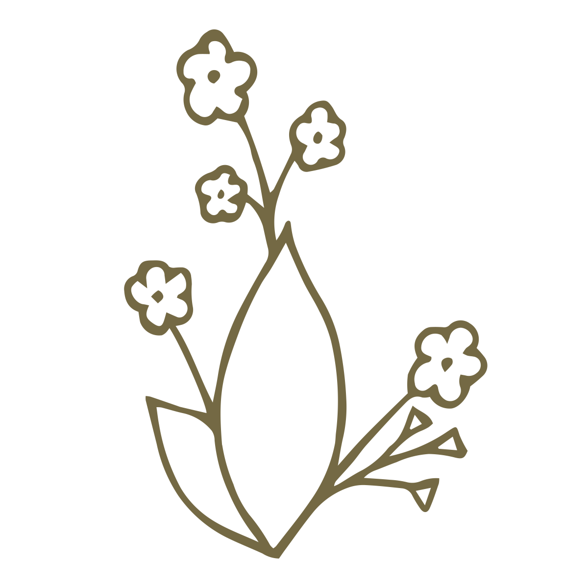 Outline drawing of a flower with five small flowers on stems and a large, elongated leaf.