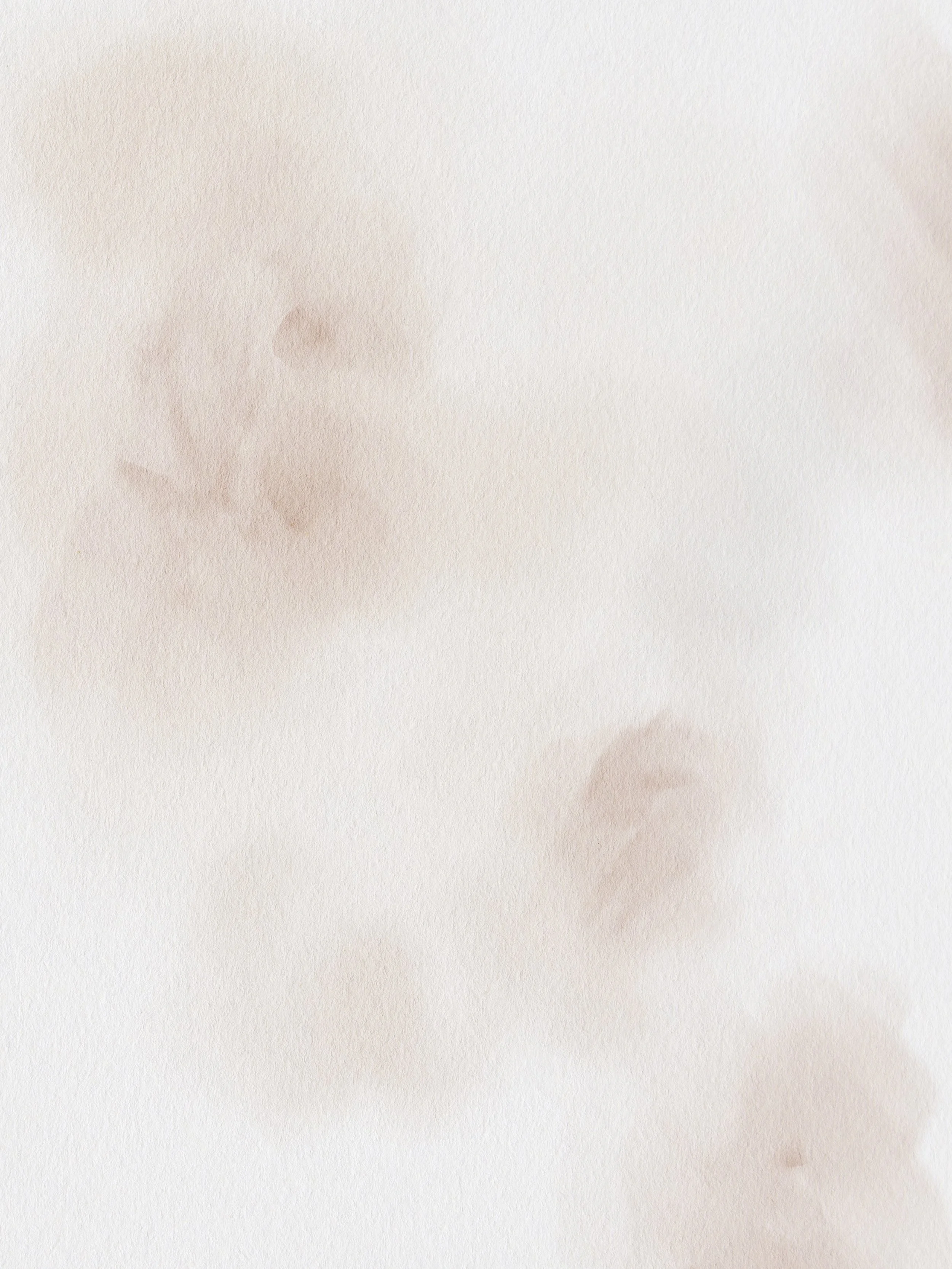 Close-up of a textured, light-colored paper with faint brownish marks and smudges.