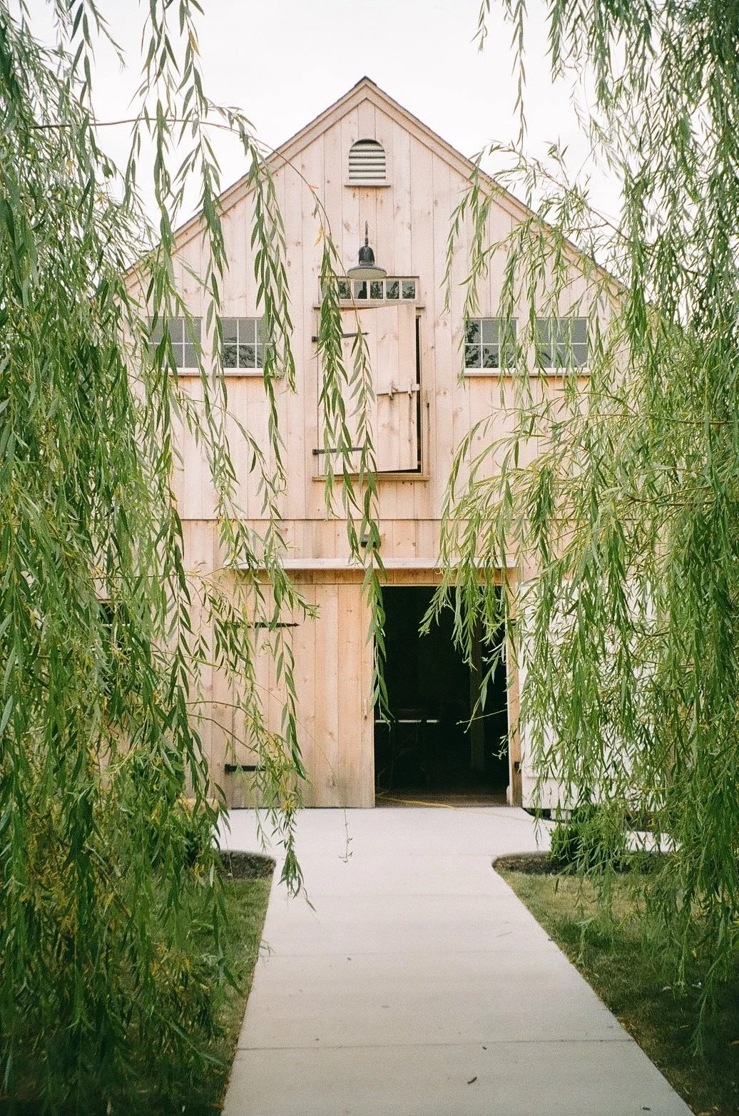 Photographed on film 