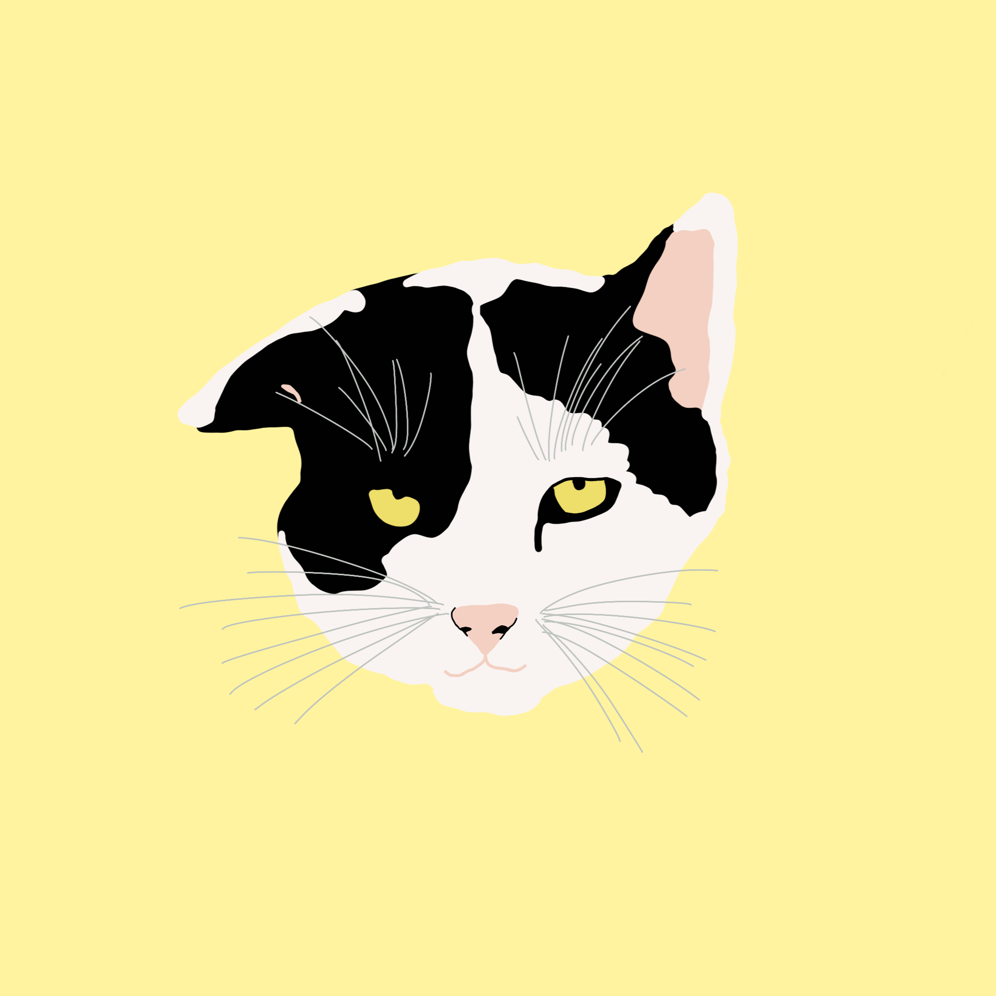 Digitally drawn 