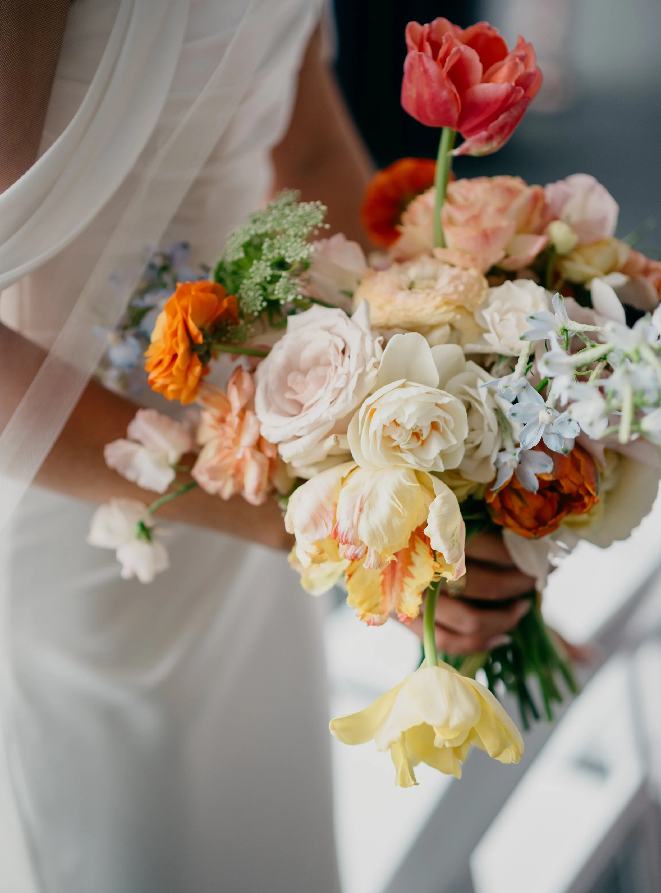 Tulips and Forsythia