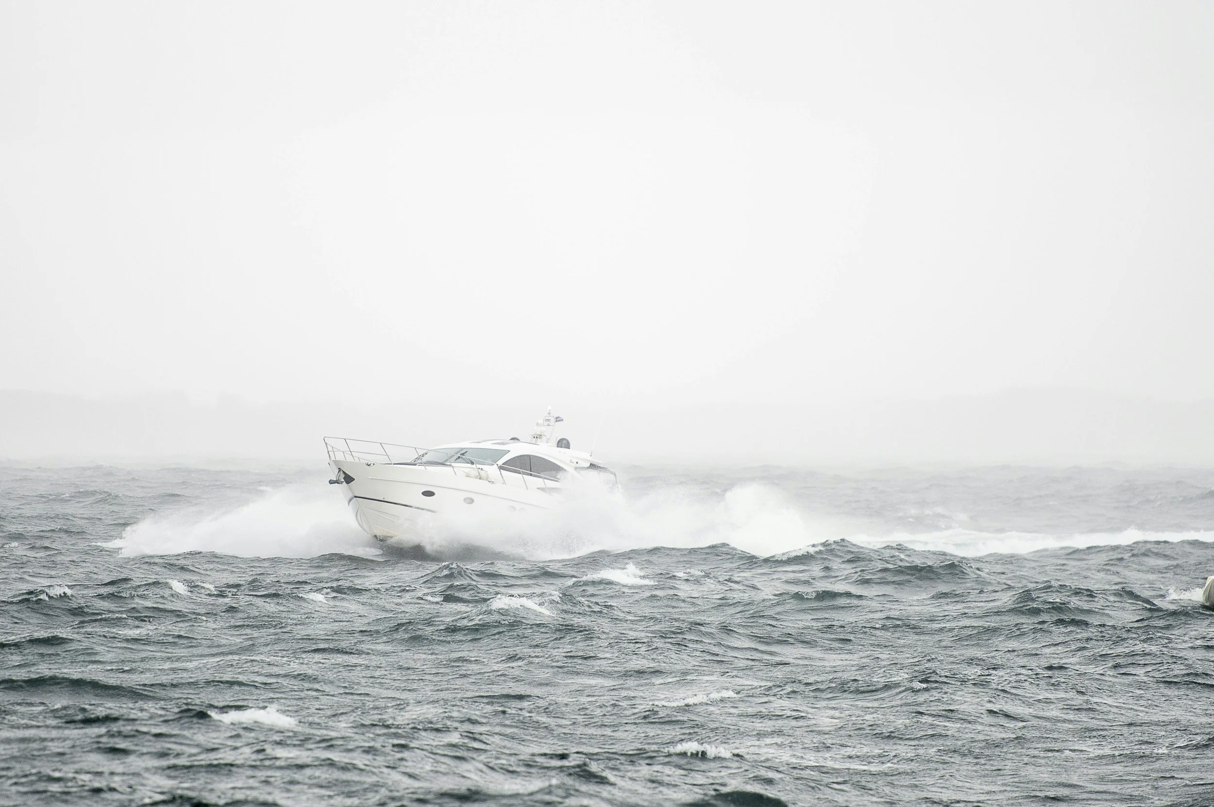 Reef Encounters of the Worst Kind