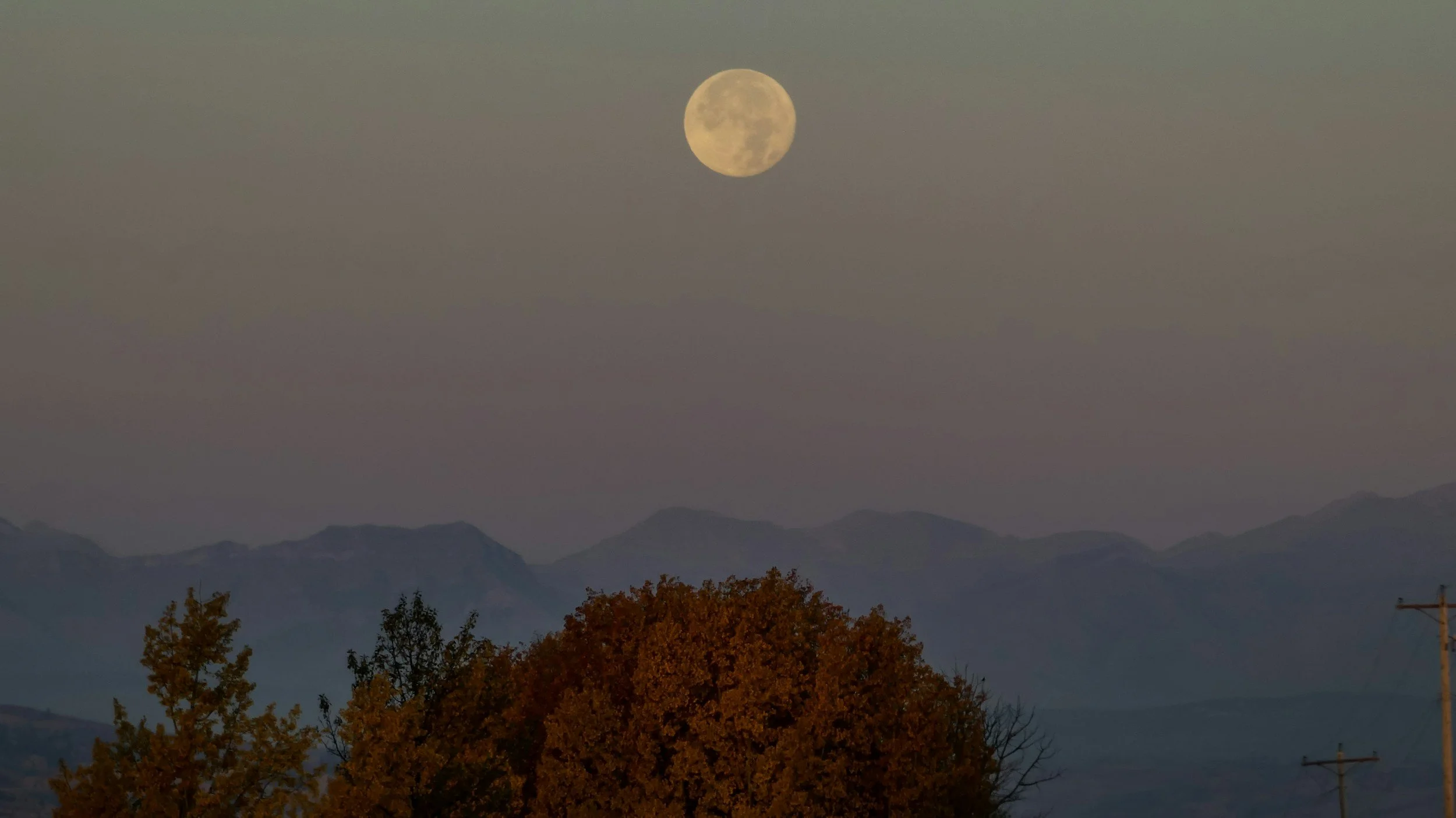 It’s Only a Pale Moon