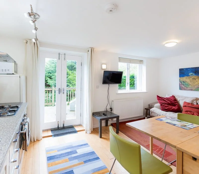 Bright living area with glass door leading to balcony, small TV mounted on wall, white sofa with red pillows, wooden dining table with green chair, colorful area rug, window with open curtains, and kitchen counter on the left.