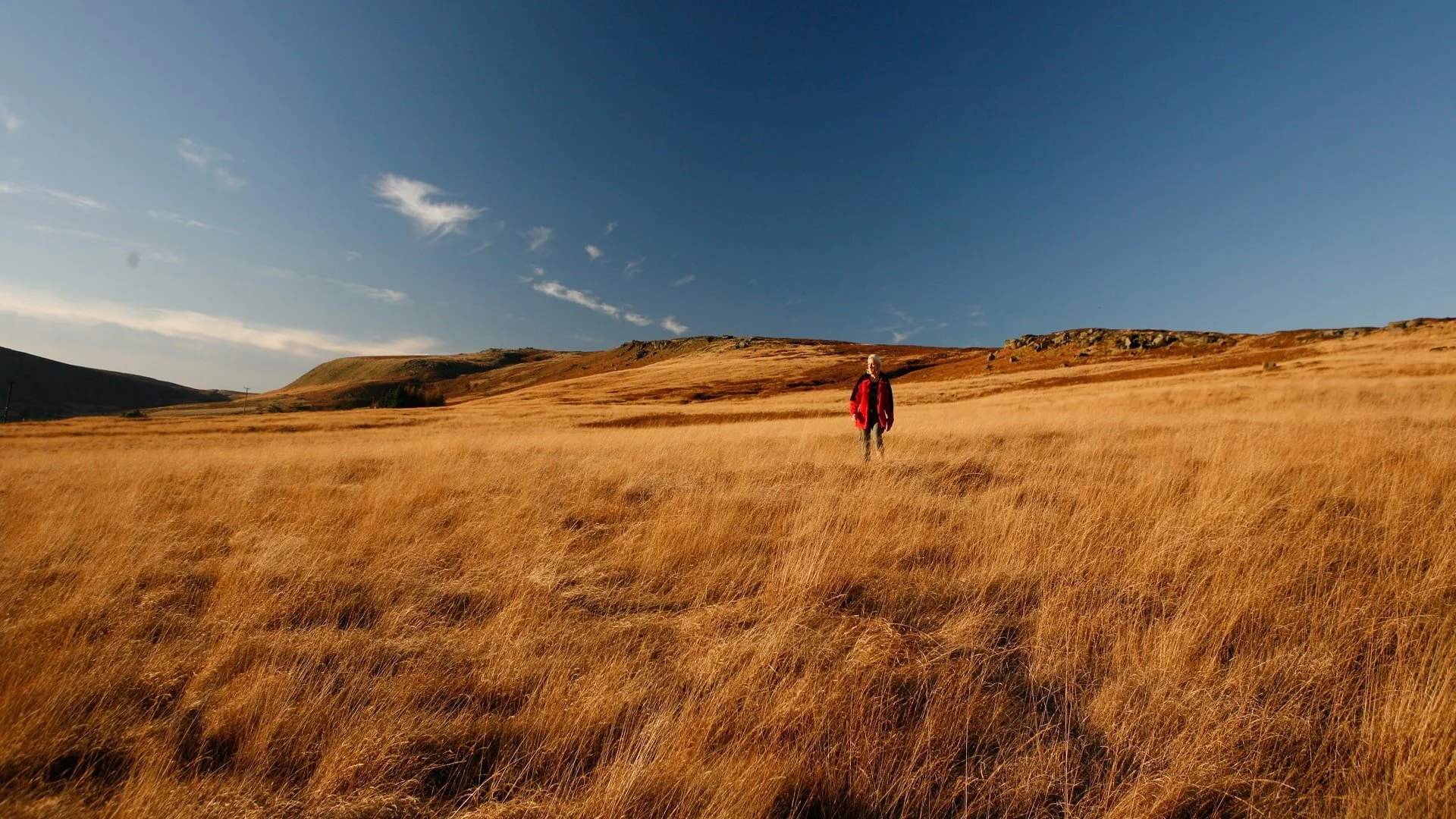 Walker on Heptonstall Moor above Hebden Bridge, South Pennines