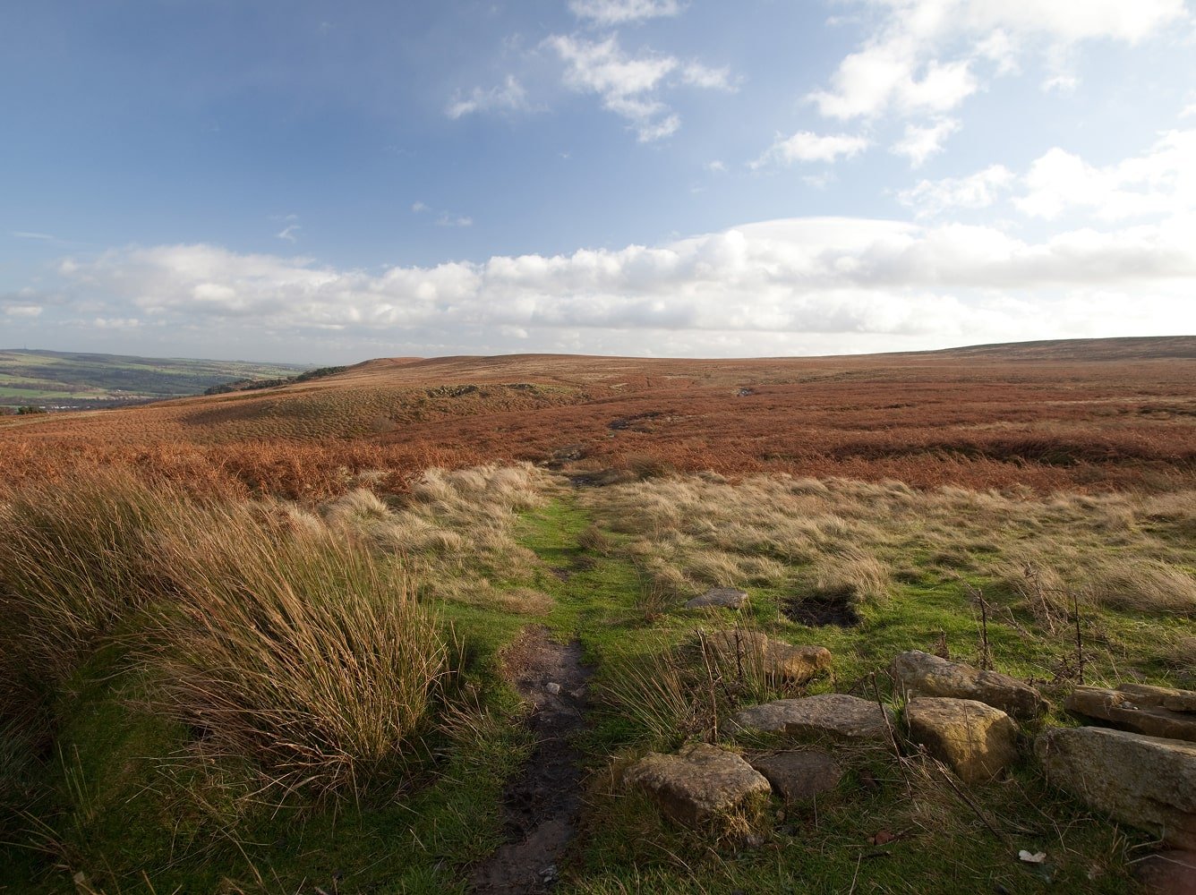 A landscape of rolling hills covered with brown and green vegetation under a partly cloudy sky, with a narrow dirt path and rocks in the foreground.