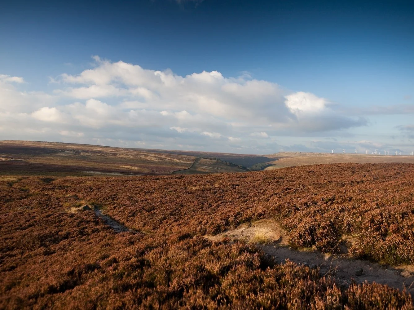 A landscape with a reddish-brown shrubland, a dirt path, distant hills, a blue sky with clouds, and wind turbines in the background.