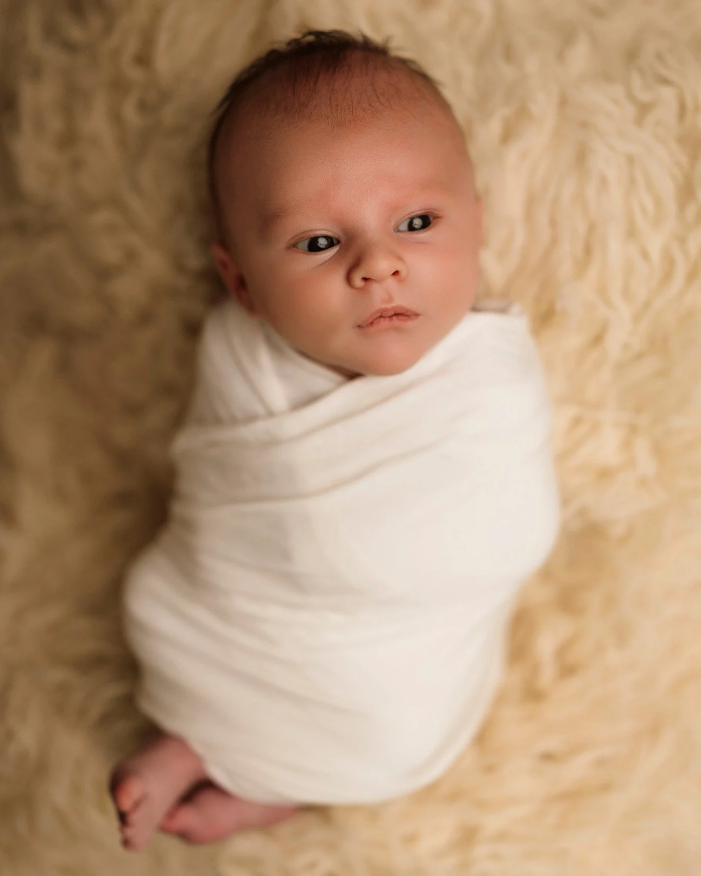 Wide awake, taking it all in, and already stealing hearts. Newborn sessions look different every time and that&rsquo;s what makes them special.