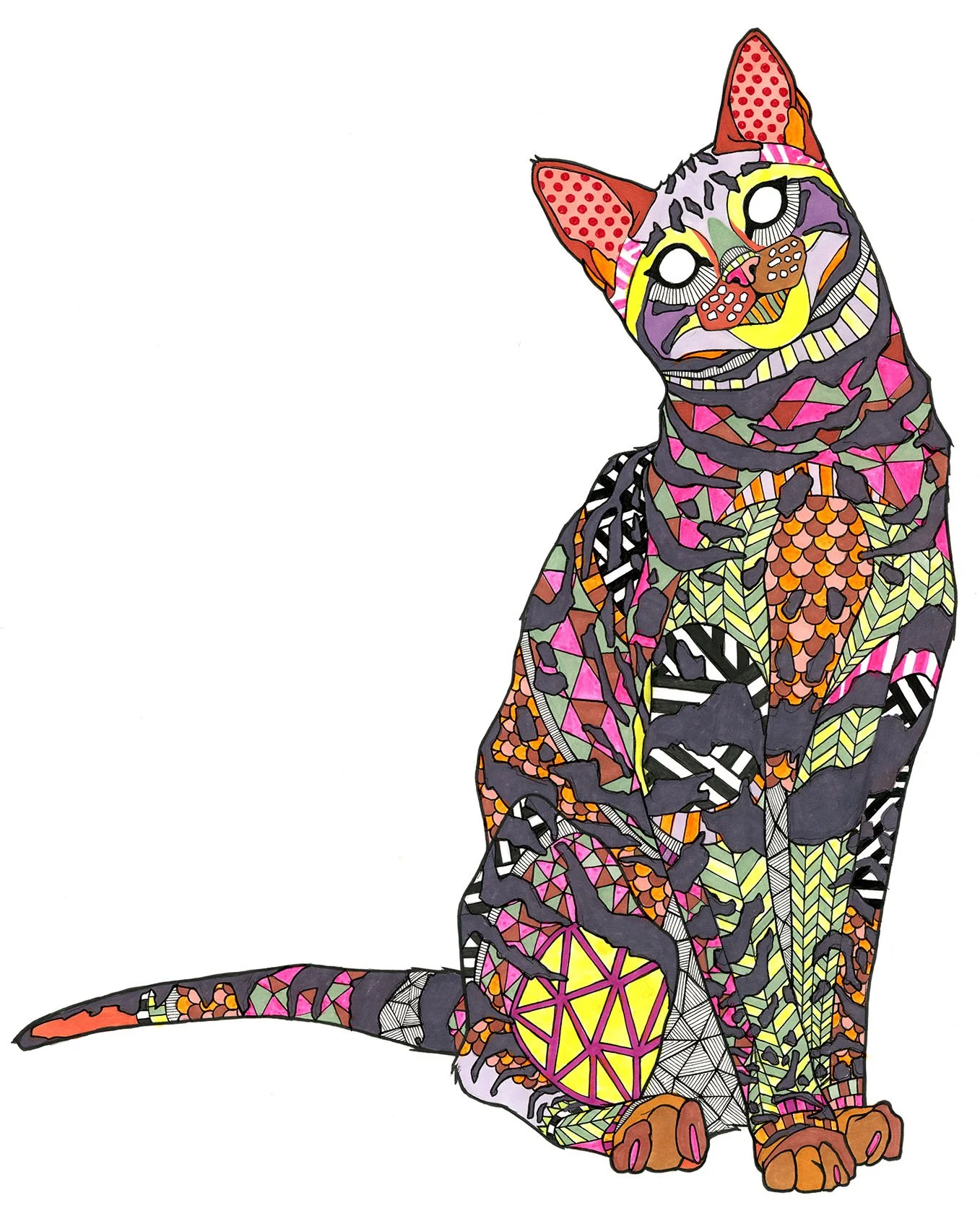 flirty cat-low.jpg