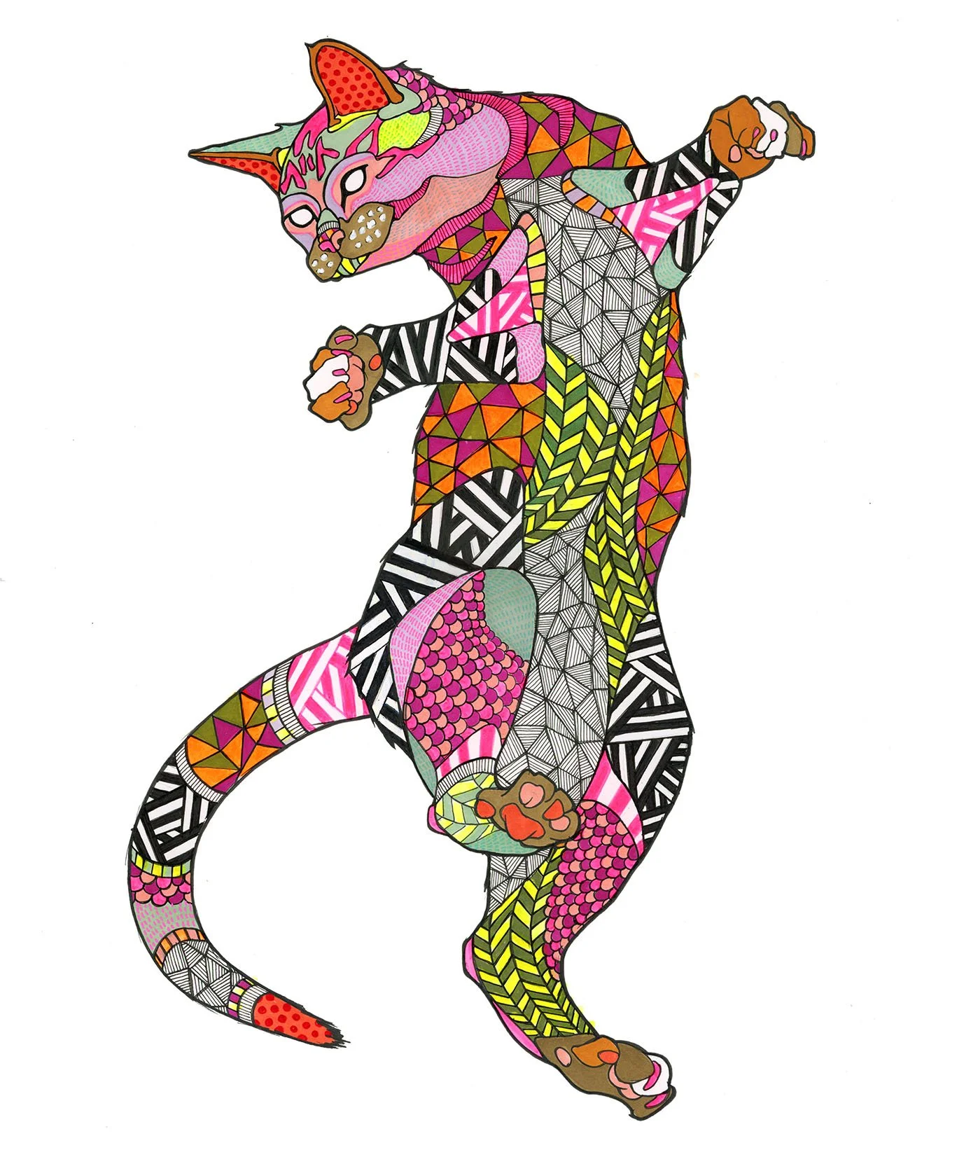 New-Cat-1-low.jpg