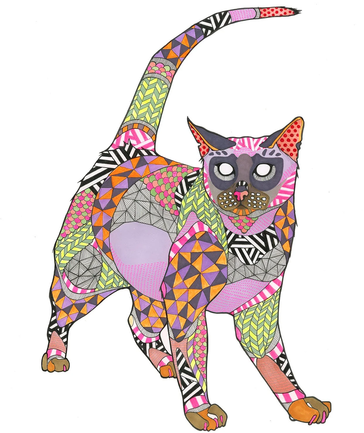 New-Cat-2-low.jpg