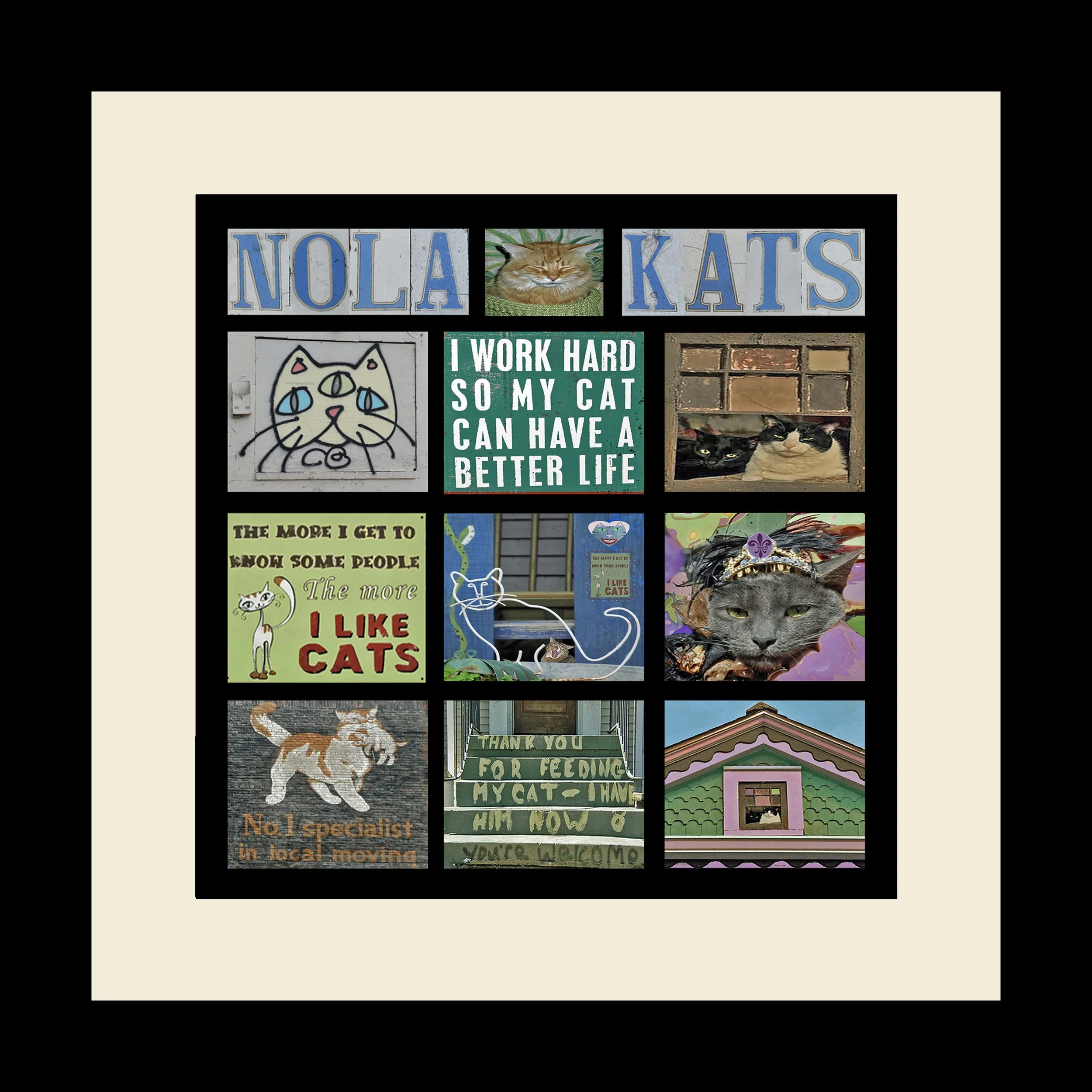 CN   Nola Cats