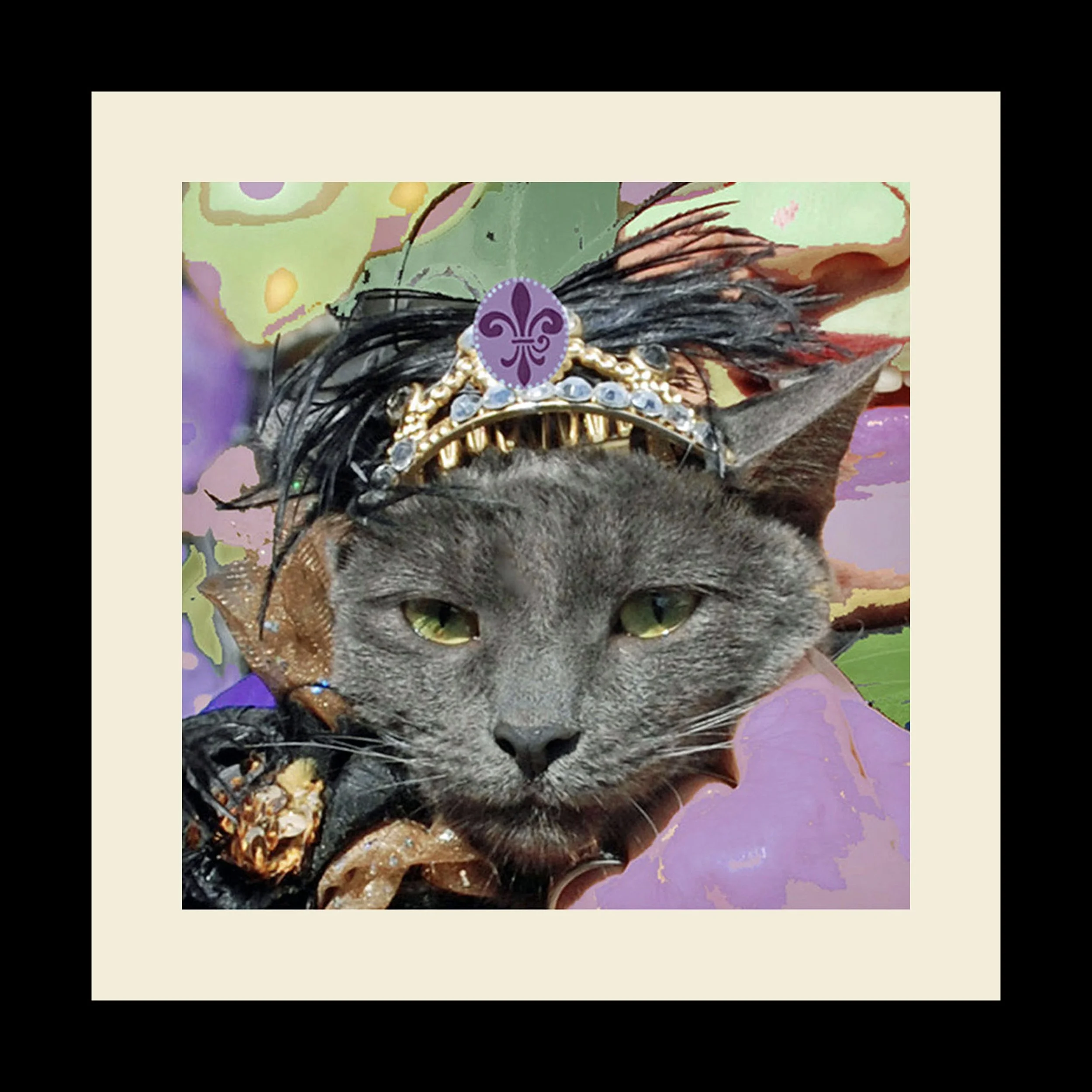 CN Queen Cat