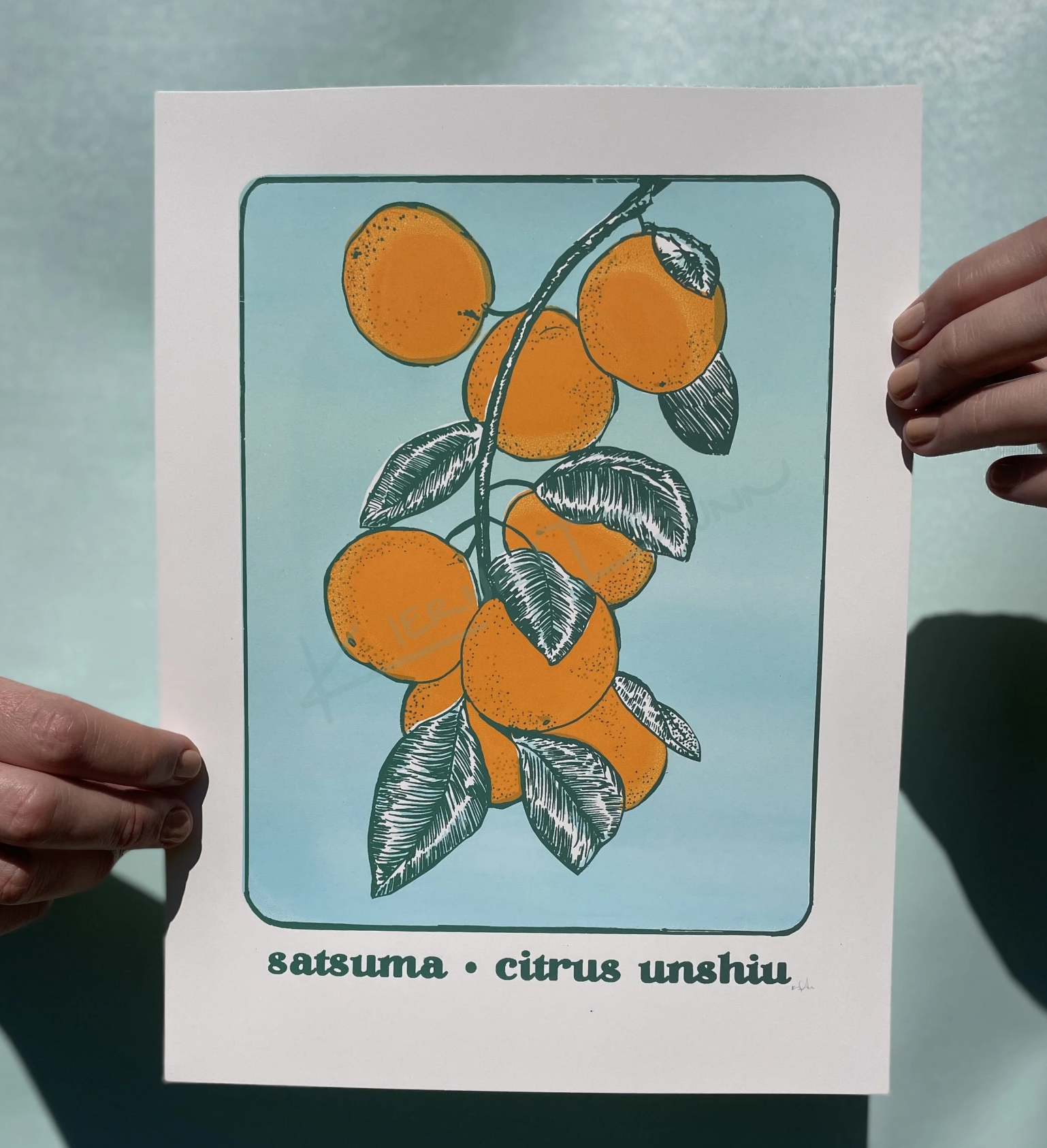 Screenshot 2026-01-21 at 12.08.13 PM.png