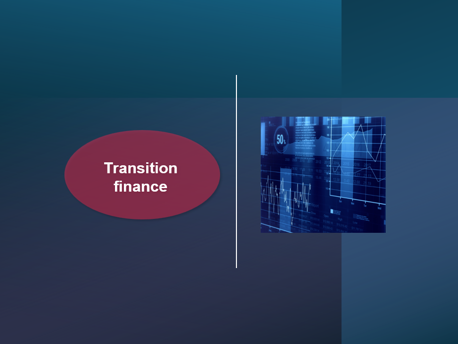 Supporting the transition