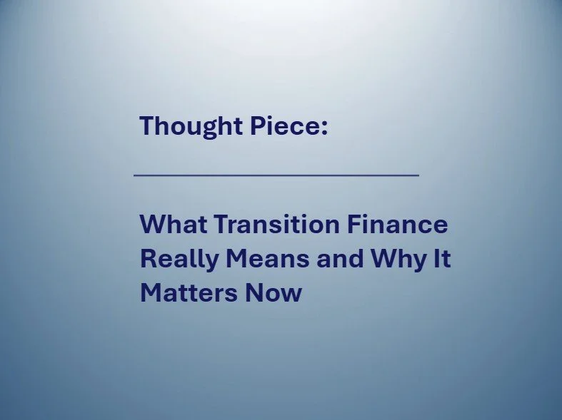Understanding Transition Finance