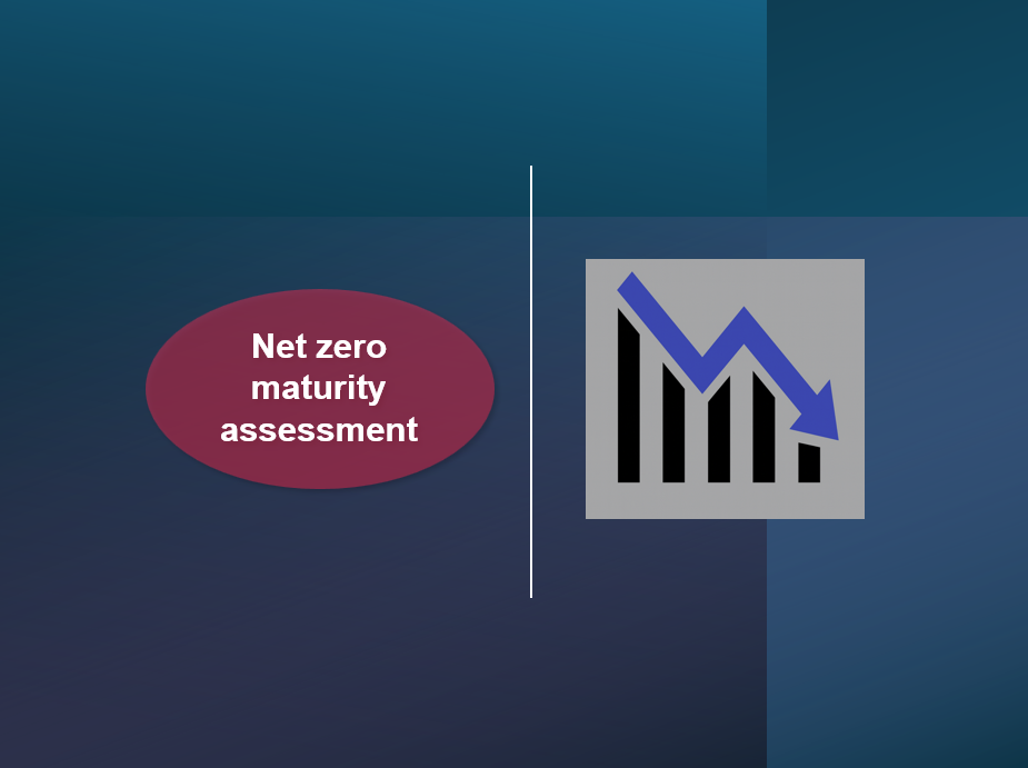 Assessing net zero status