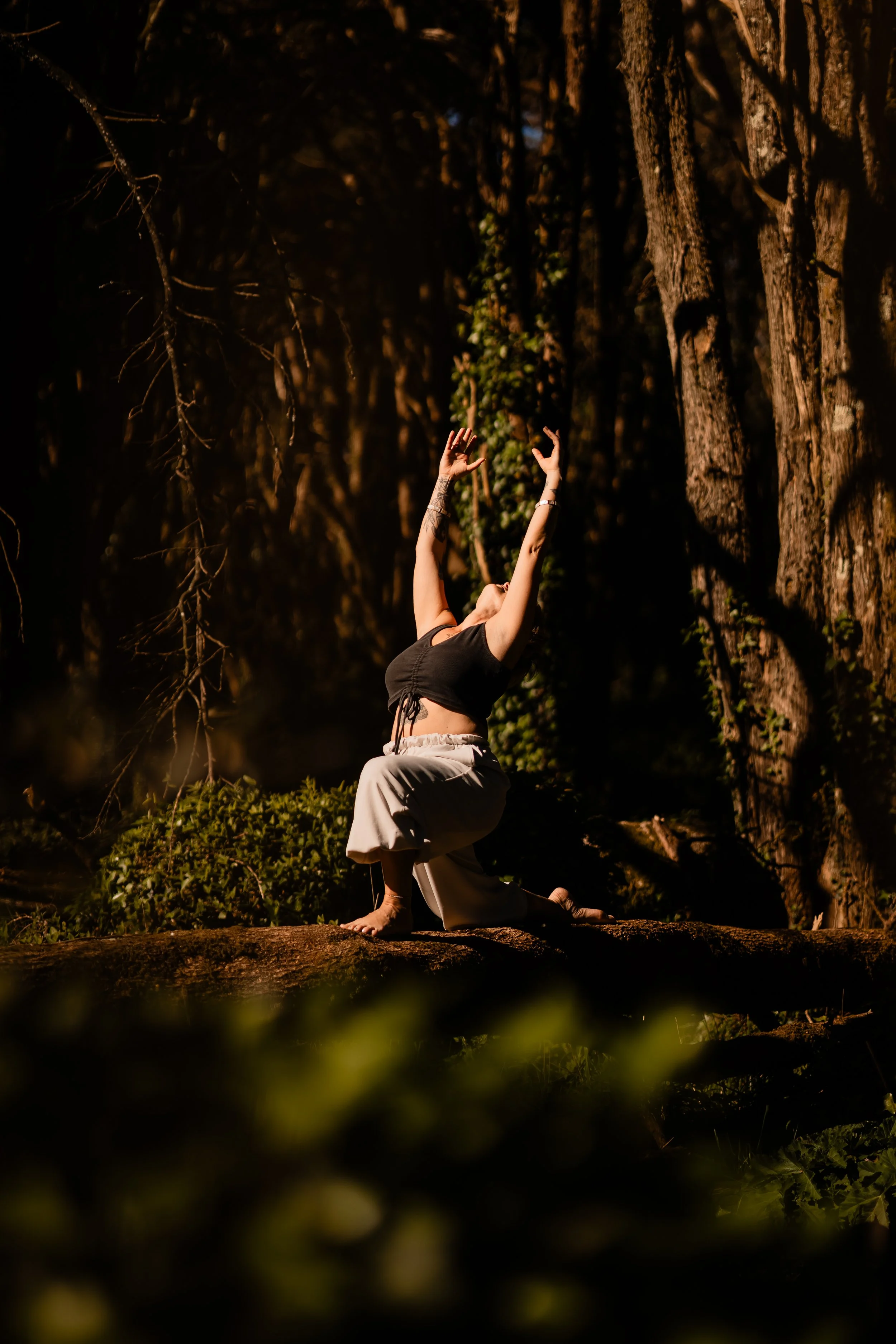 A woman practicing yoga outdoors among tall trees, kneeling on a log with arms raised above her head at sunset or sunrise.