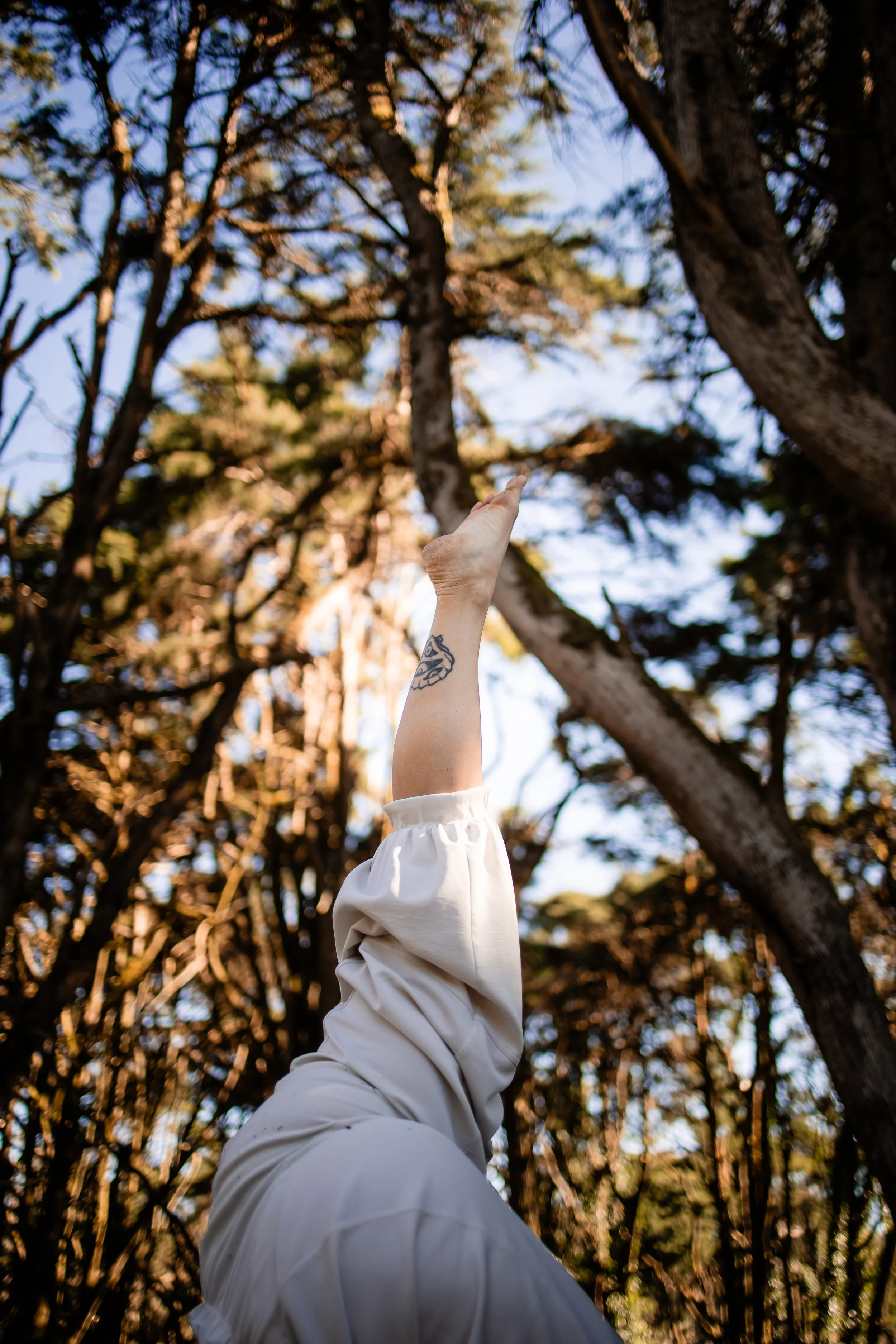 legandfootreachingintotheairintheforest