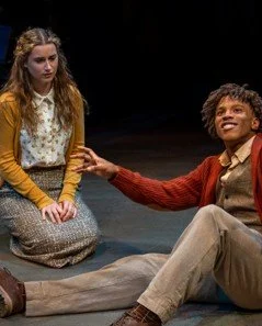 THE GLASS MENAGERIE
