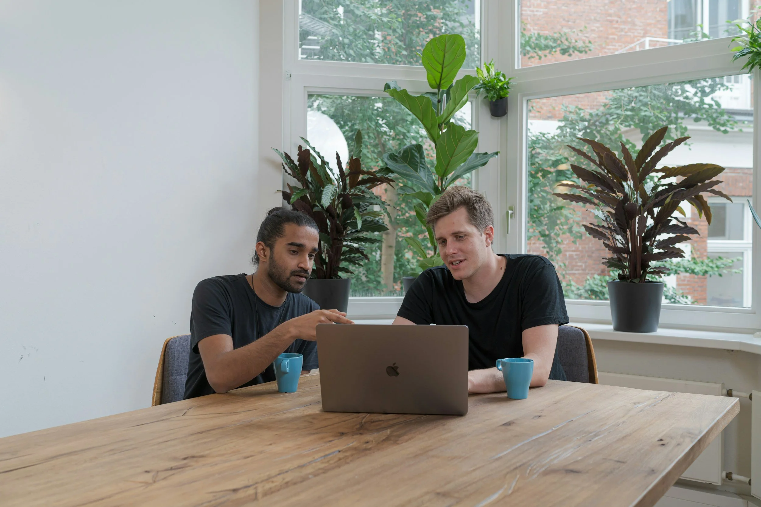 Two men sitting at a wooden table looking at a laptop, with coffee mugs and large houseplants in the background.