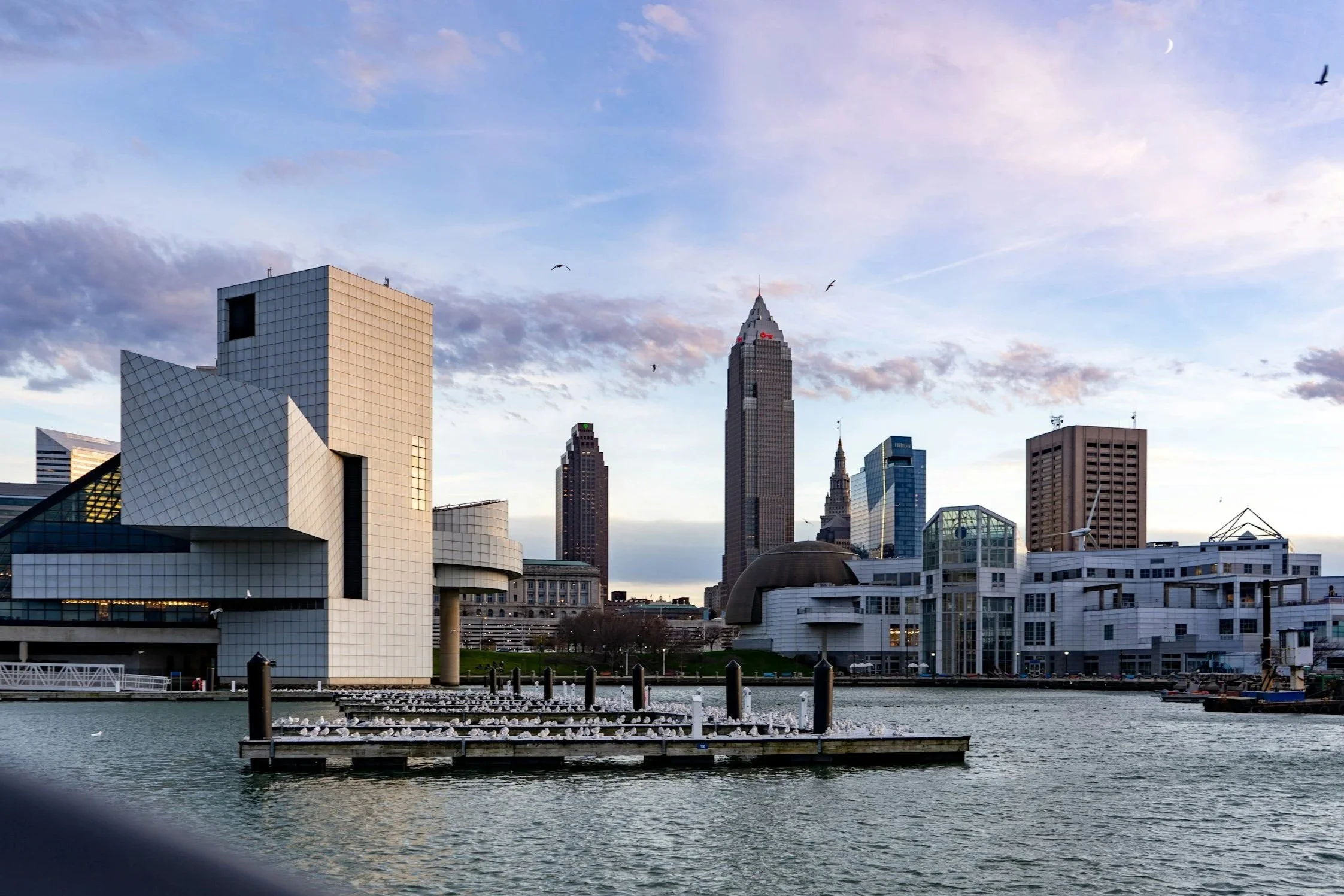 City skyline featuring modern buildings and high-rise skyscrapers along the waterfront at dusk with birds flying overhead.