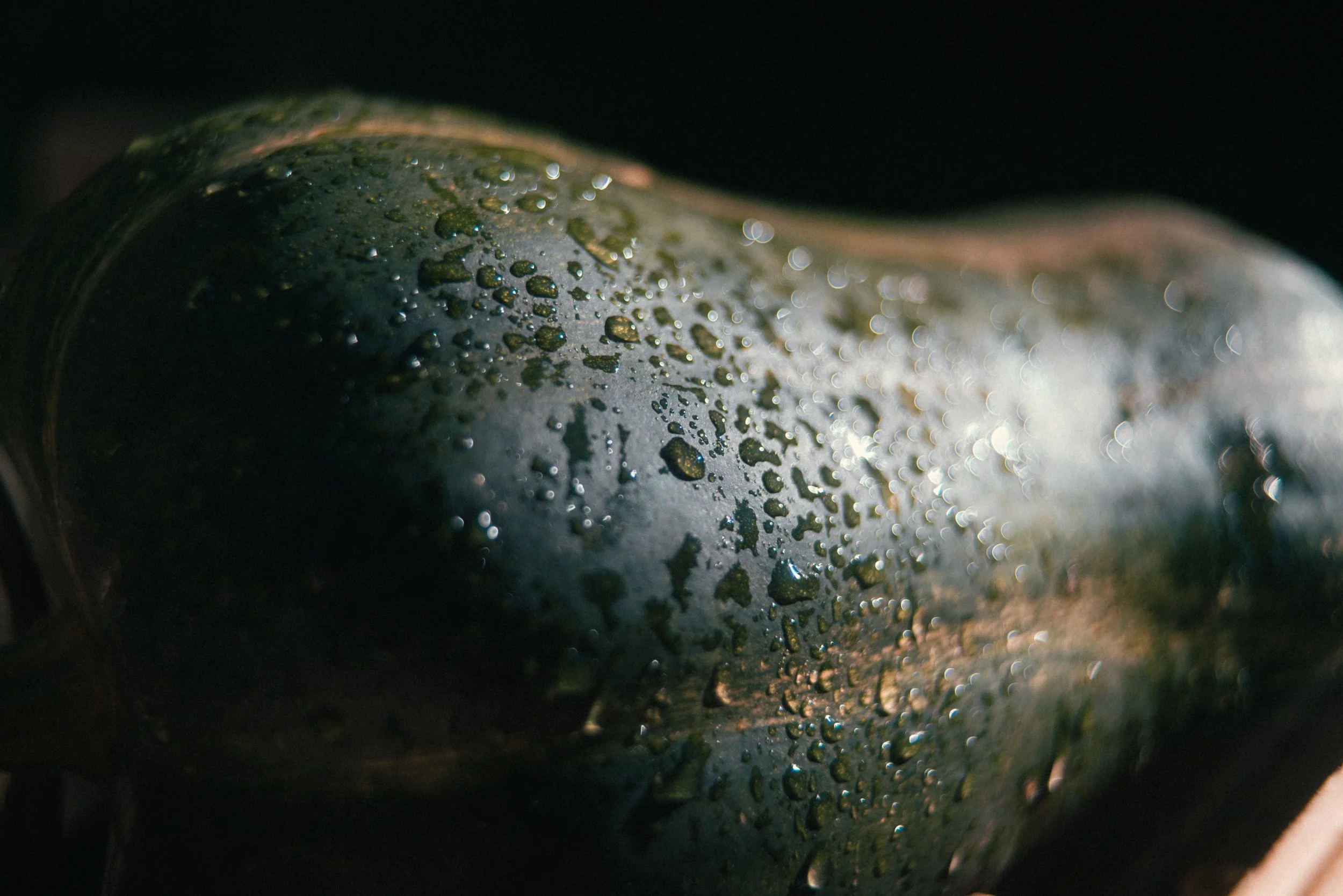 Gouttelettes d'eau sur une courgette, avec un éclairage montrant des reflets