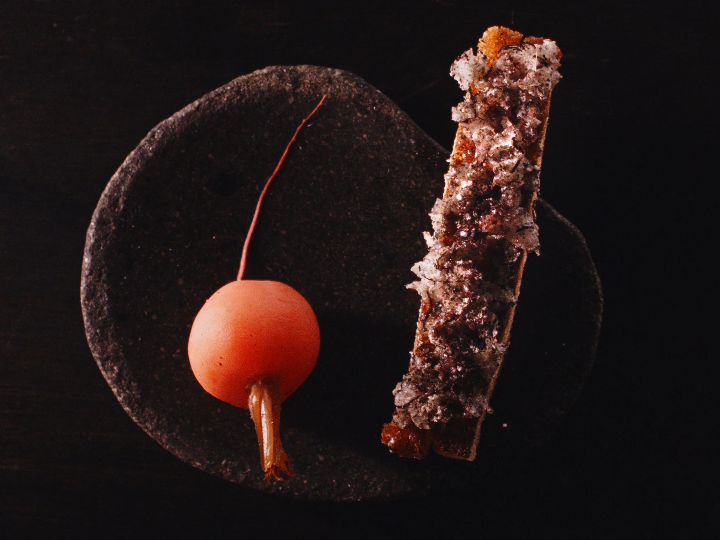 Un plat du menu signature avec un radis mariné accompagné d'un bâtonnet croquant