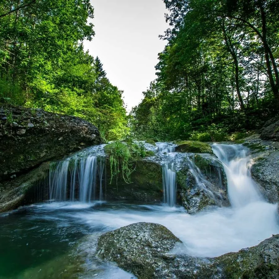 A small waterfall in Waterford, flowing over rocks in a lush green forest, visited during a private tour with Private Tours Ireland.