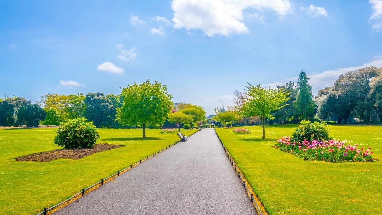 Phoenix Park in Dublin, one of the largest urban parks in Europe, offering open green spaces and scenic walking routes often included on private city tours.