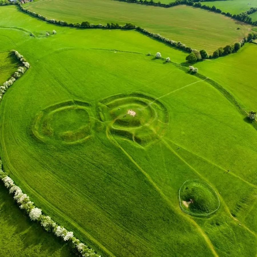 Aerial view of a large green field with maze-like pathways, bordered by trees and fields.