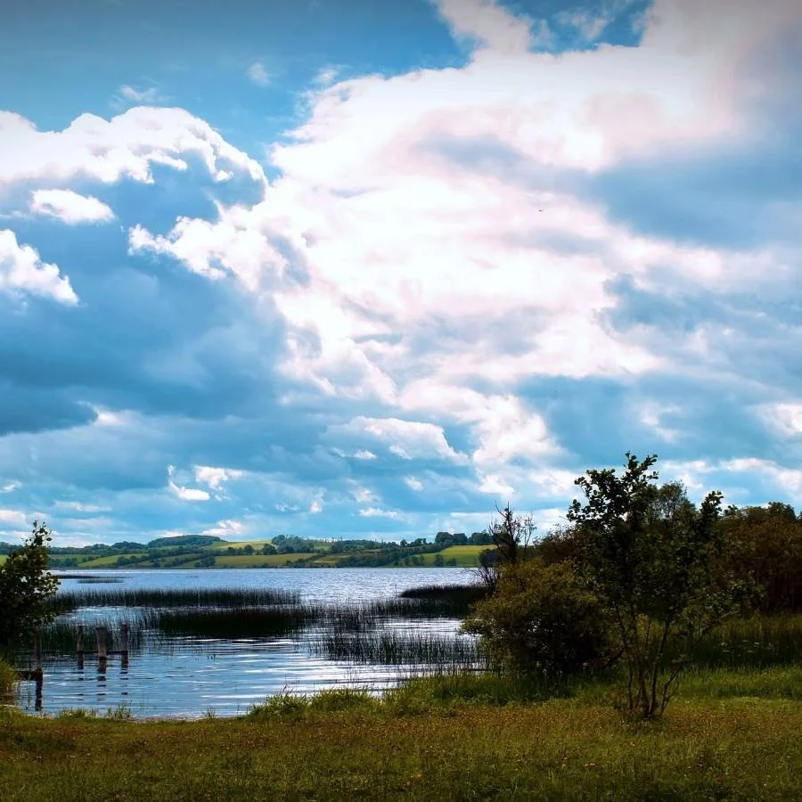 A peaceful lakeside scene with a partly cloudy sky, grassy shoreline, reeds in the water, and distant green hills.