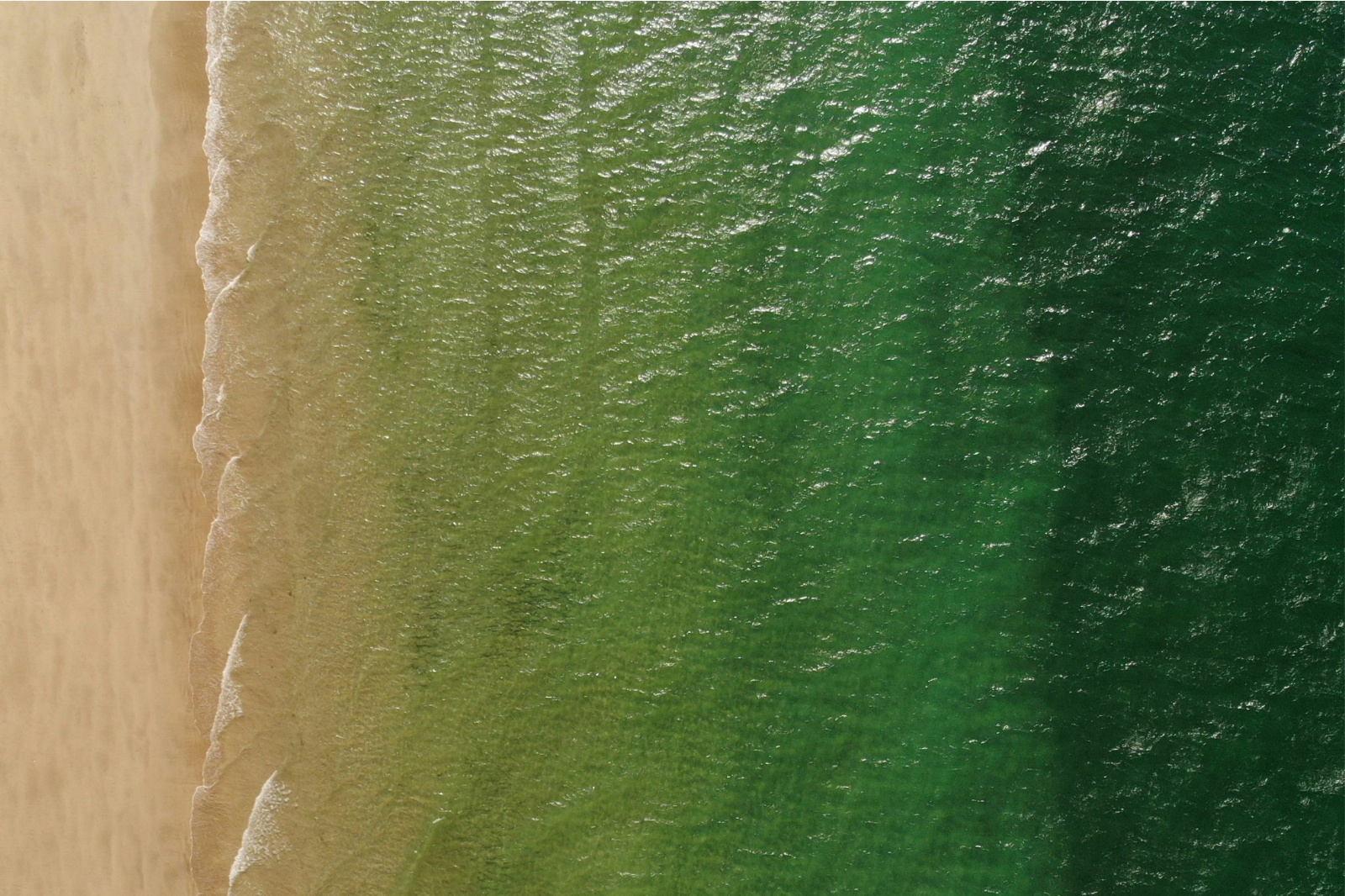 Turn Intention Into Action