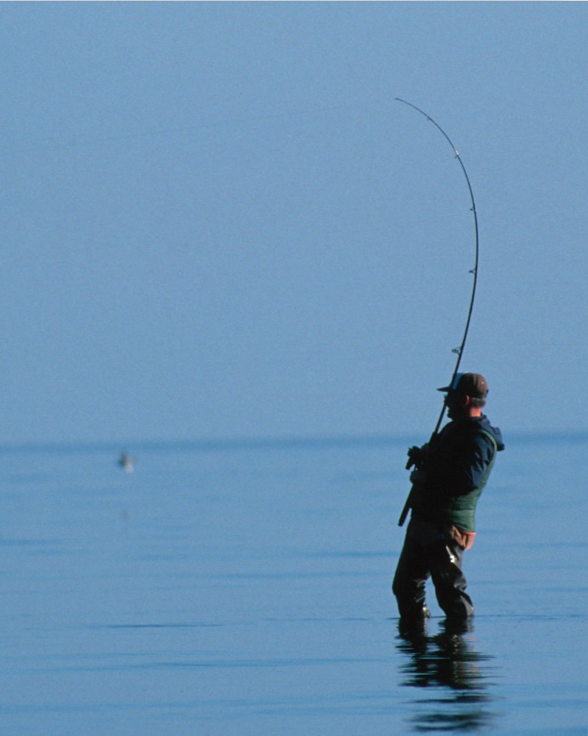 Small Steps Create Big Shifts 