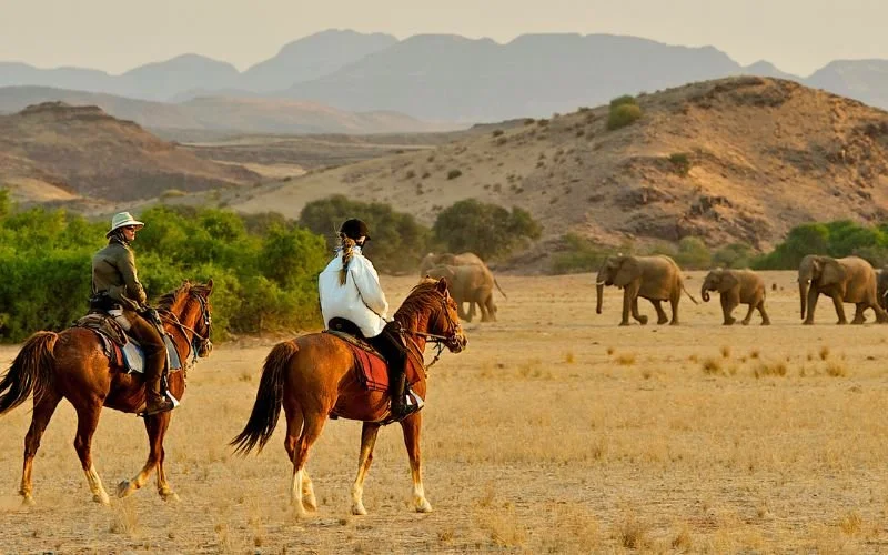 Two people riding horses in a desert landscape with elephants in the background and mountains in the distance.