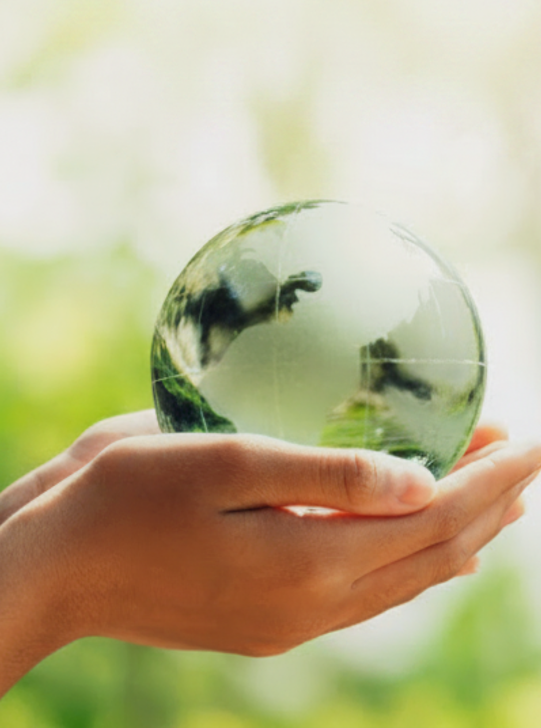 Why CT and MA Businesses Are Switching to Green Cleaning in 2026