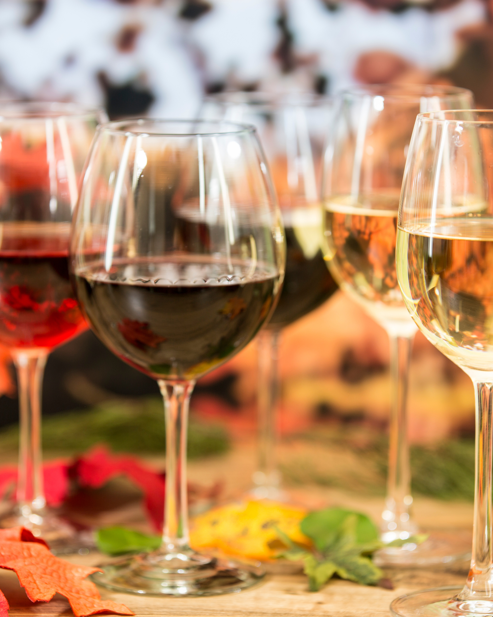 Wineries Traverse City in the fall