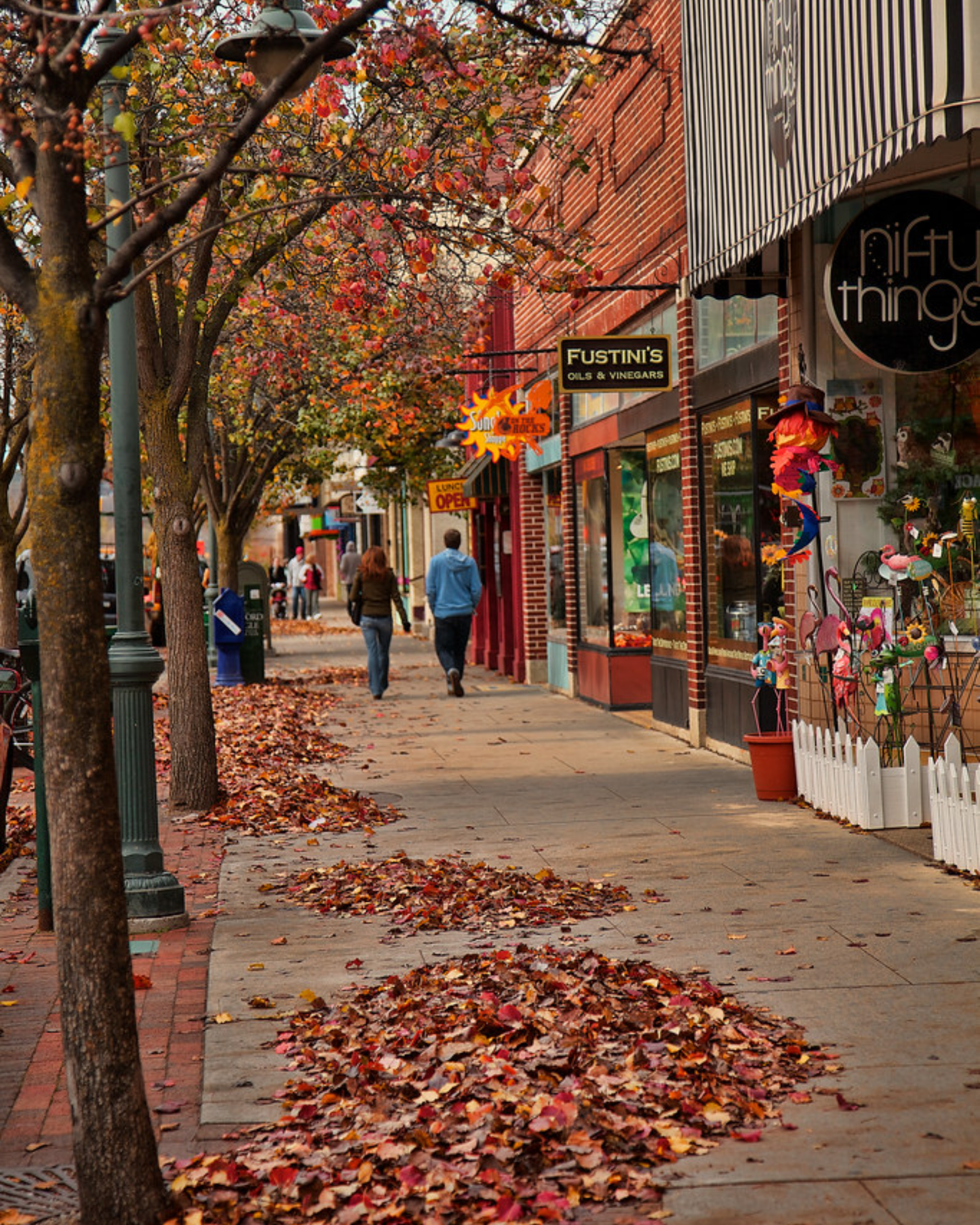 Explore downtown traverse city in the fall