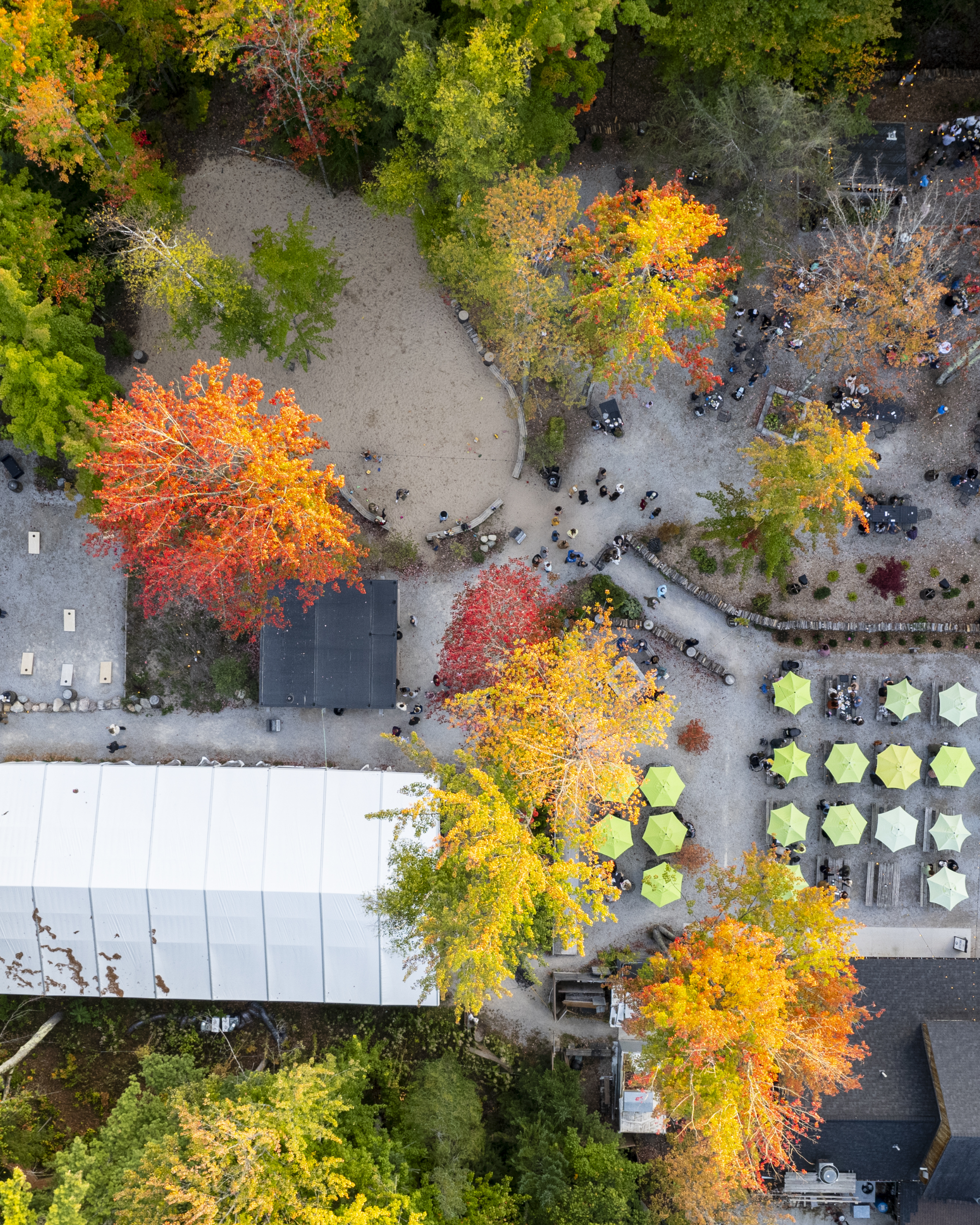 Fall events Traverse City