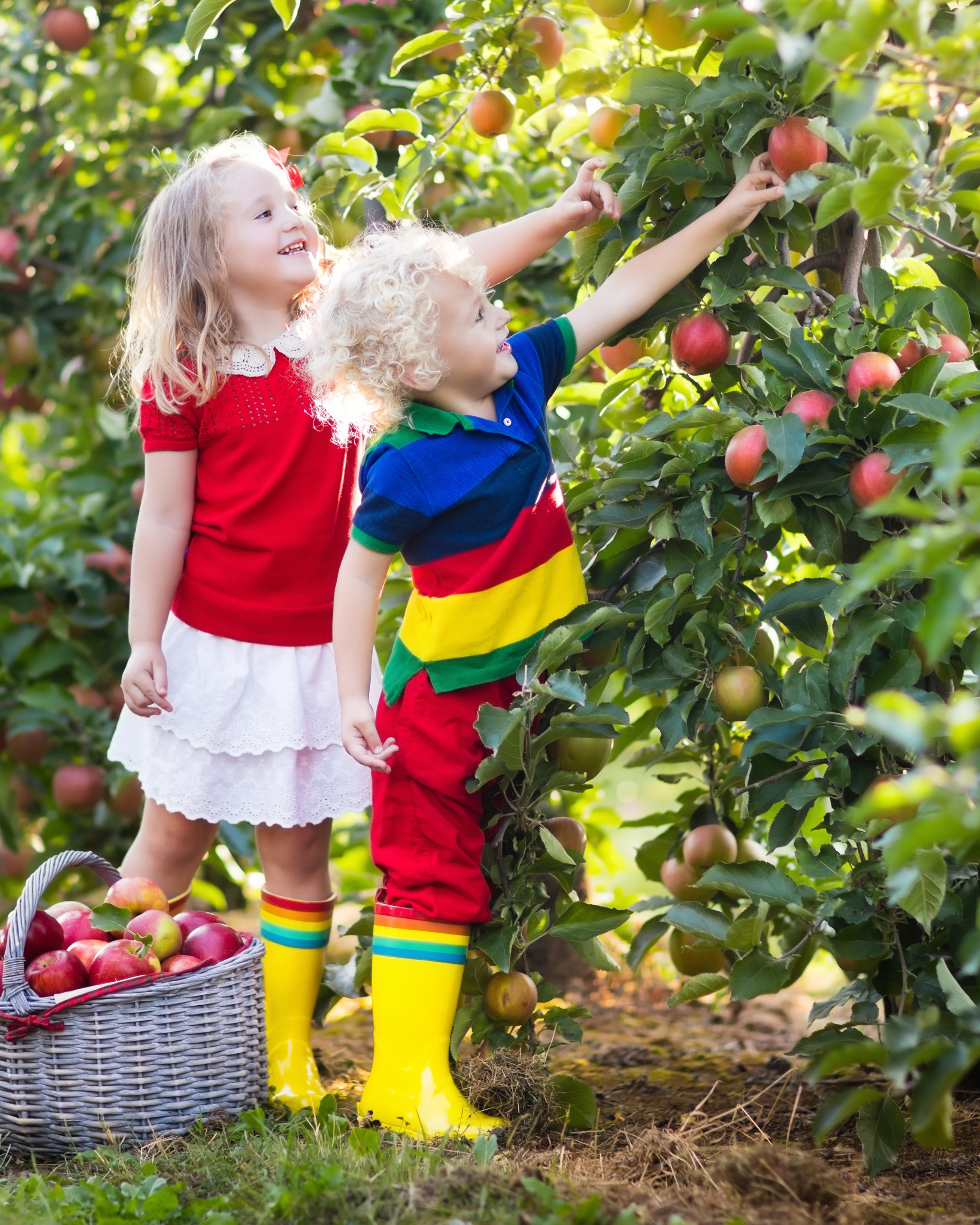 10 Best Things to Do in Traverse City in the Fall