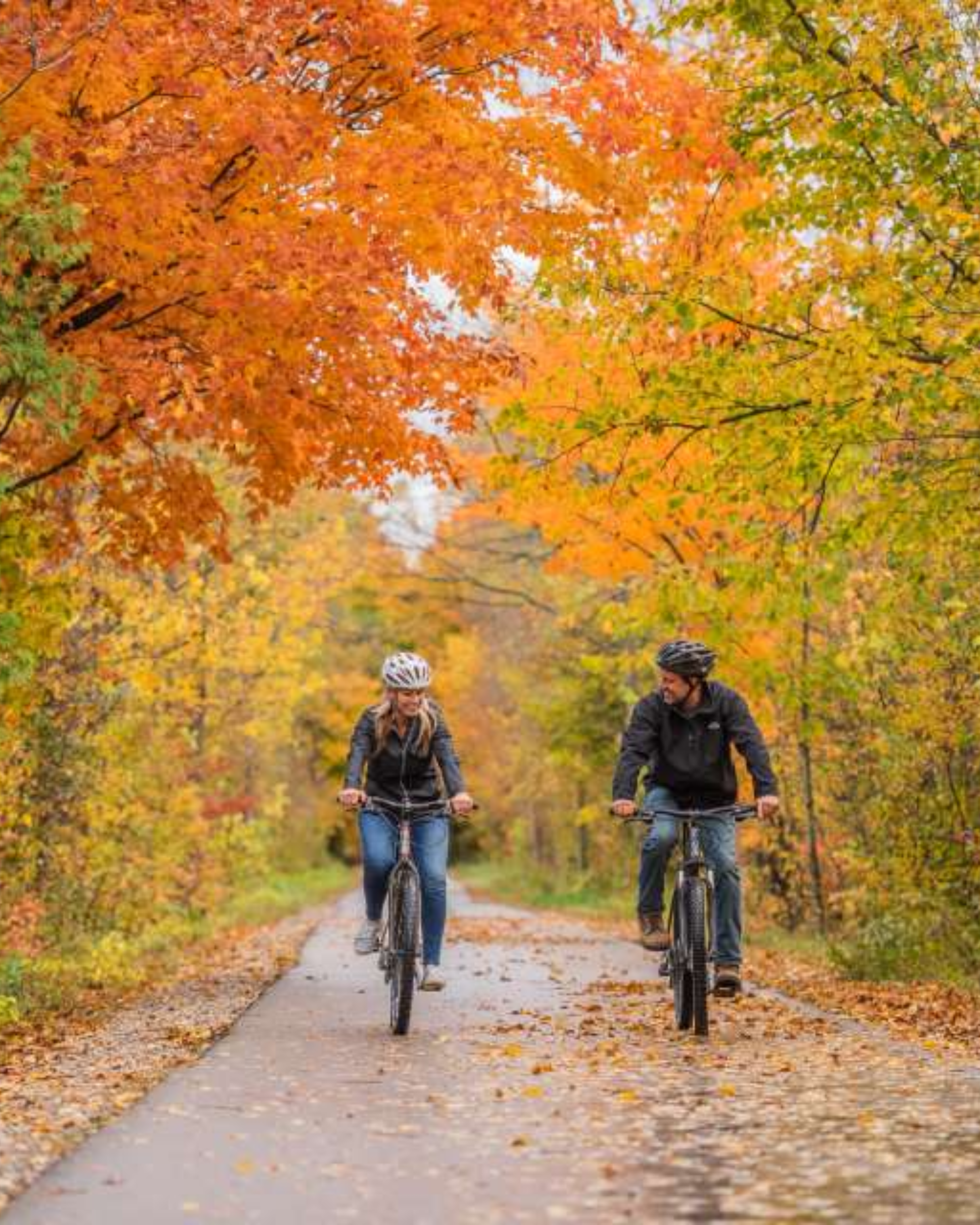 TART Trail in the fall