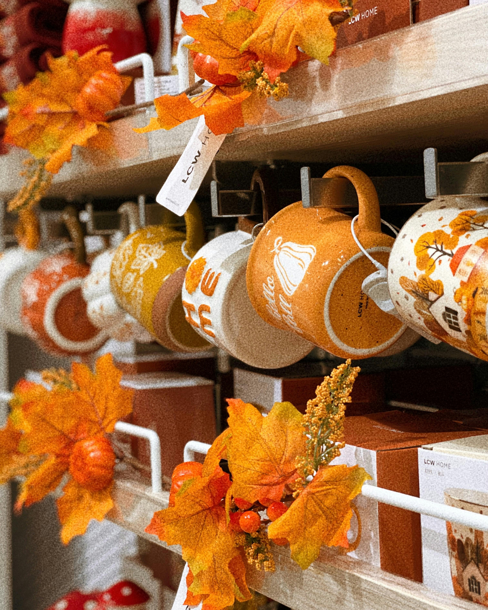Traverse City local shops in the fall