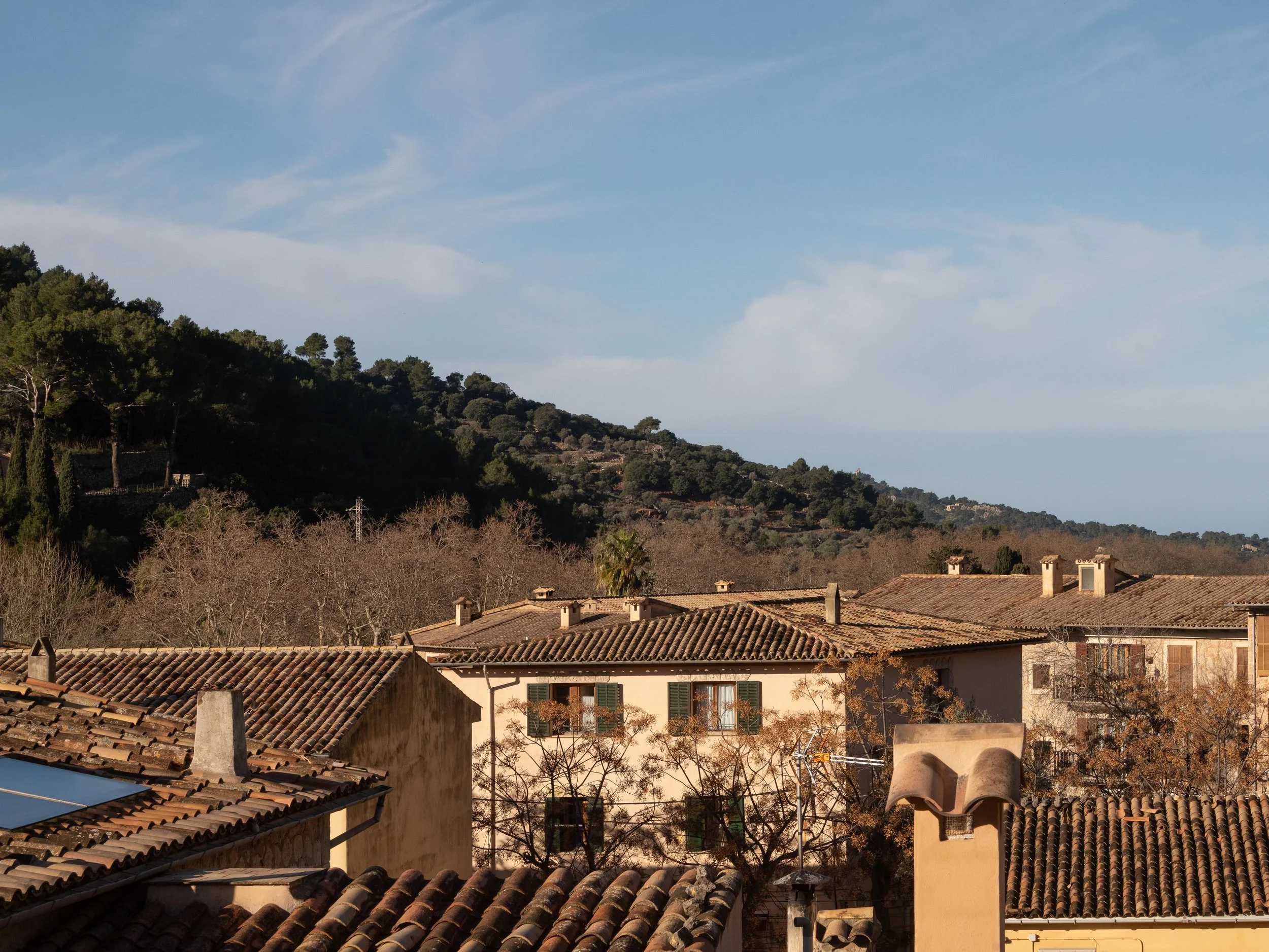 Vista de casas con techos de tejas frente a colinas boscosas bajo cielo despejado.