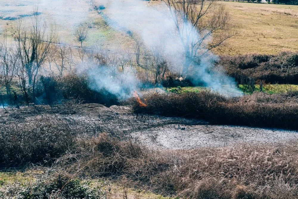 A field burned by a small fire with smoke rising, trees in the background, and patches of unburned grass.