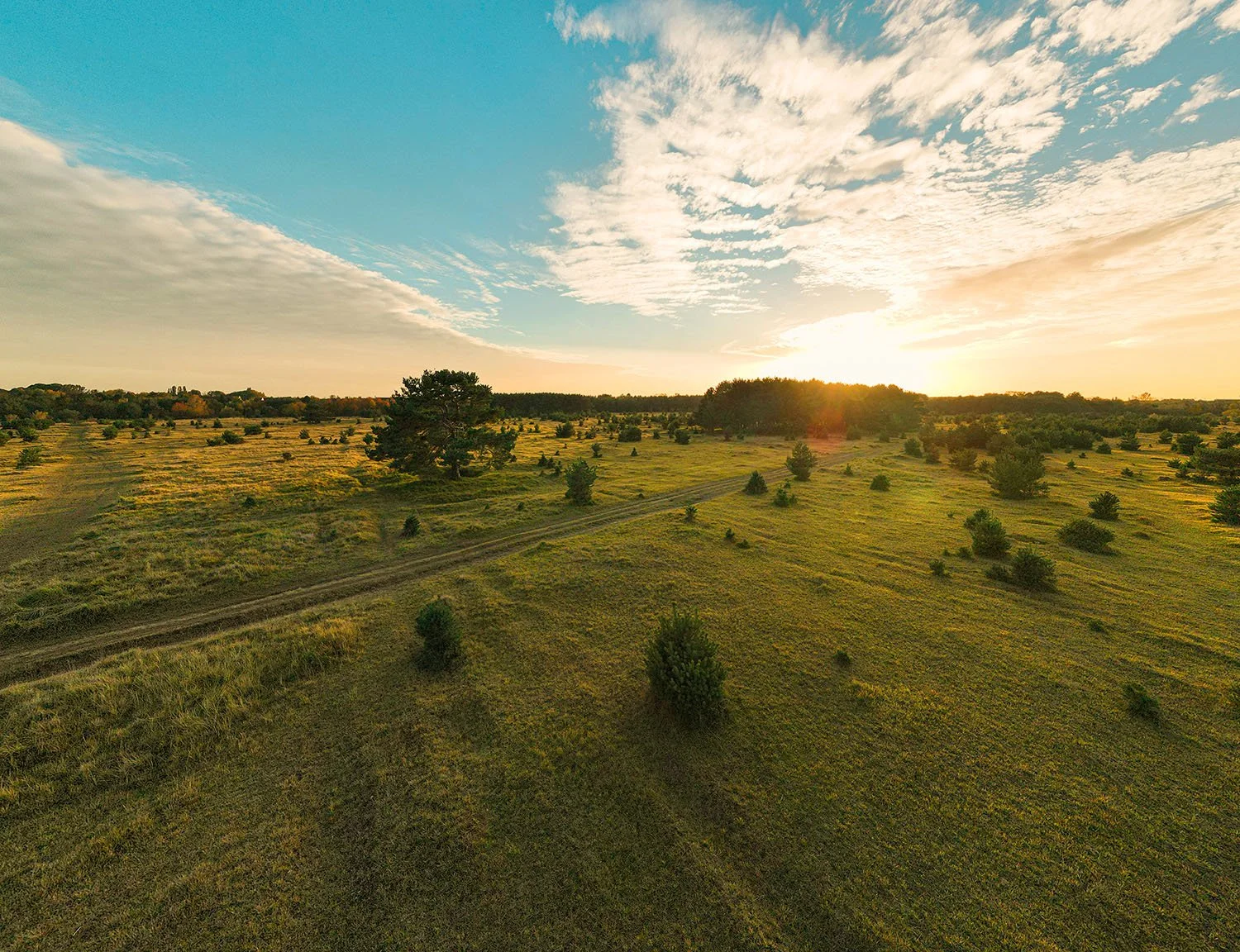 A scenic landscape of a grassy field with scattered small trees, a dirt path, and a sunset sky with clouds.