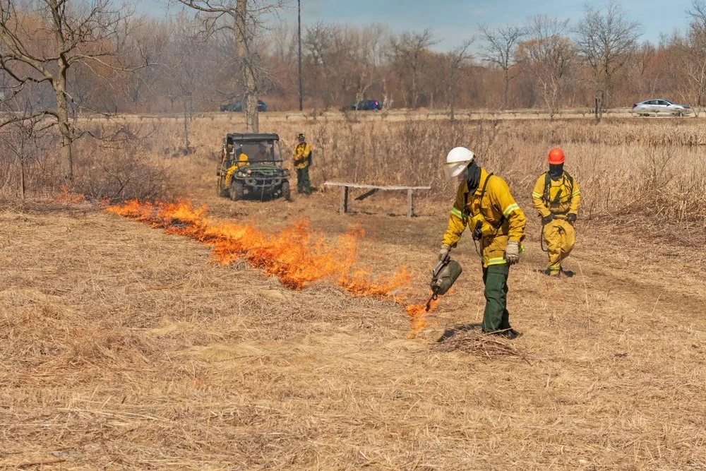 Firefighters controlling a grass fire in an open field during the daytime.