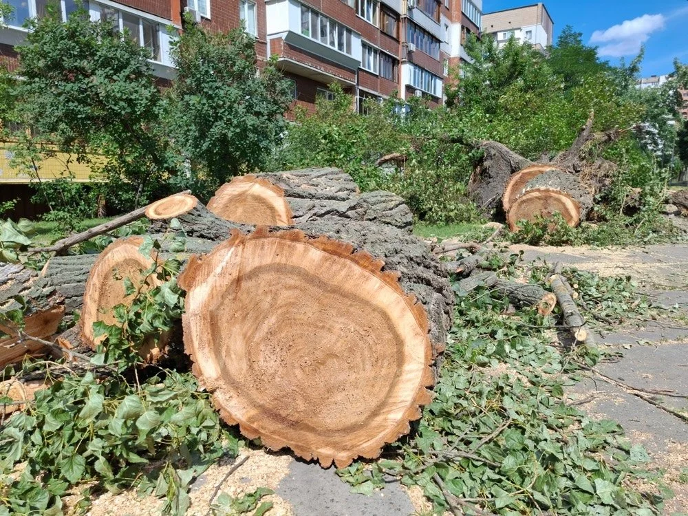 Fallen tree logs and branches scattered across the sidewalk in front of a residential apartment building, with some leaves and debris.